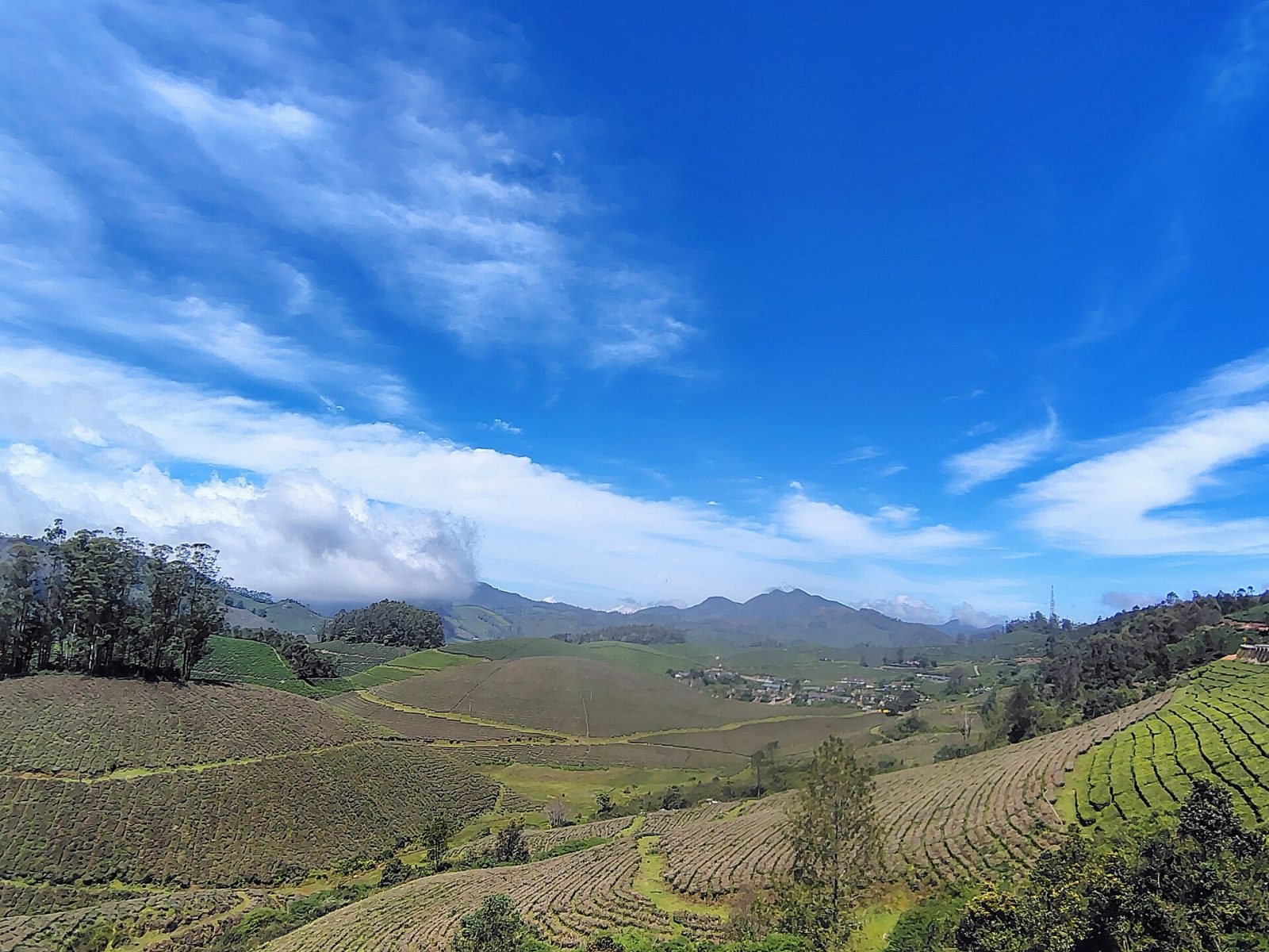 Kannan Devan Tea Plantations