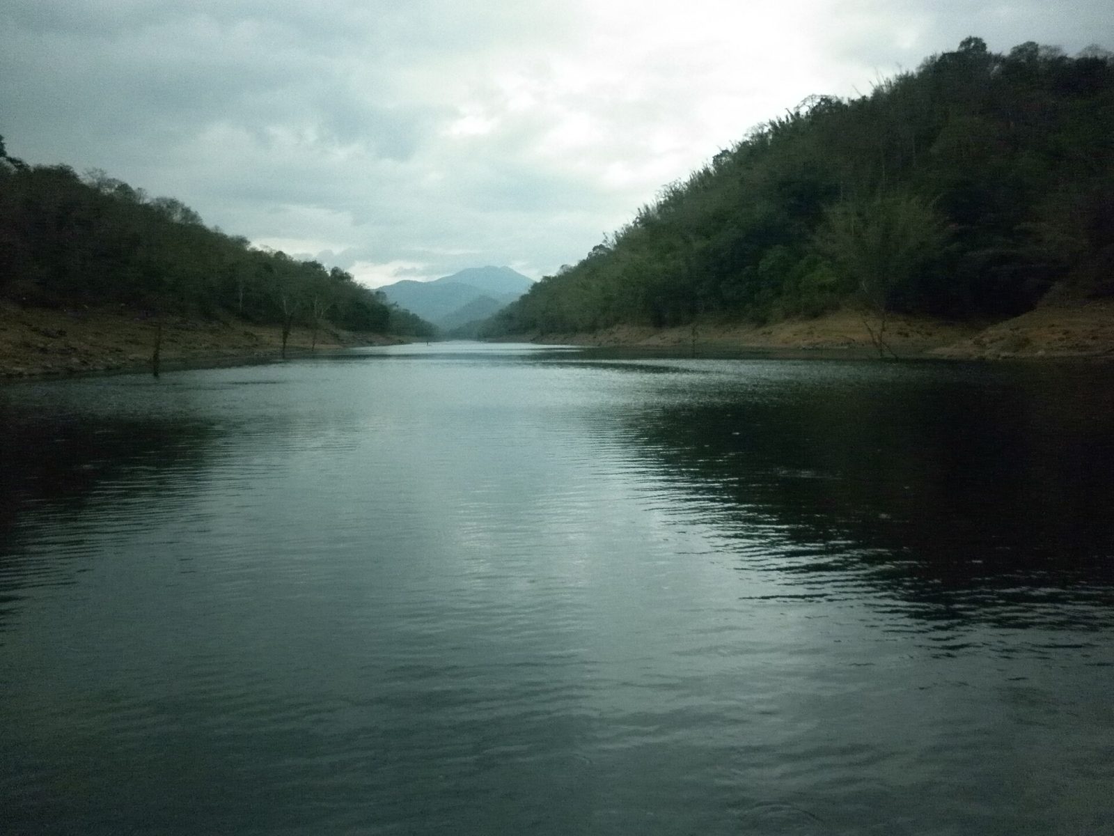 Thekkady (Periyar Tiger Reserve)
