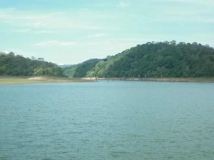Thekkady (Periyar Tiger Reserve)