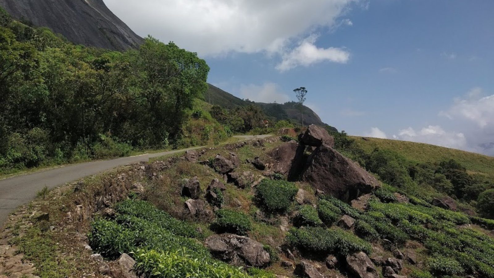 Eravikulam National Park