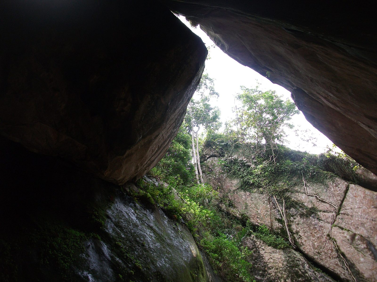 Edakkal Caves