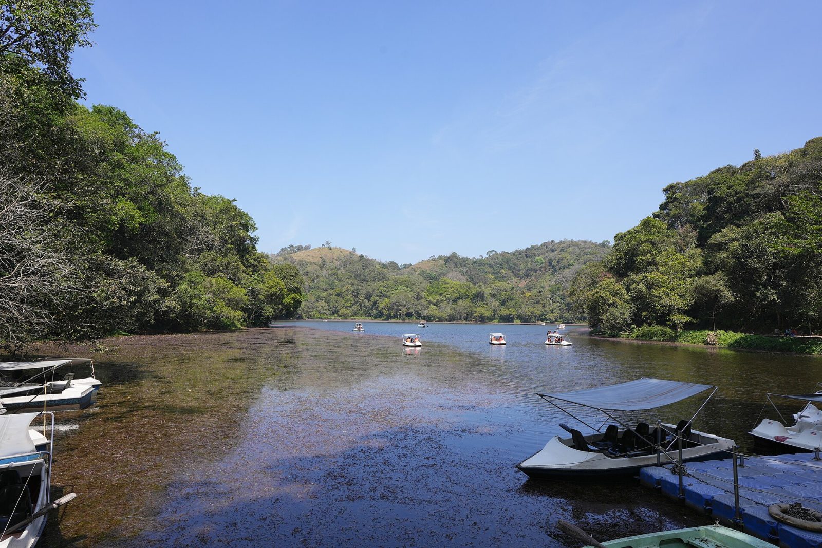 Pookode Lake