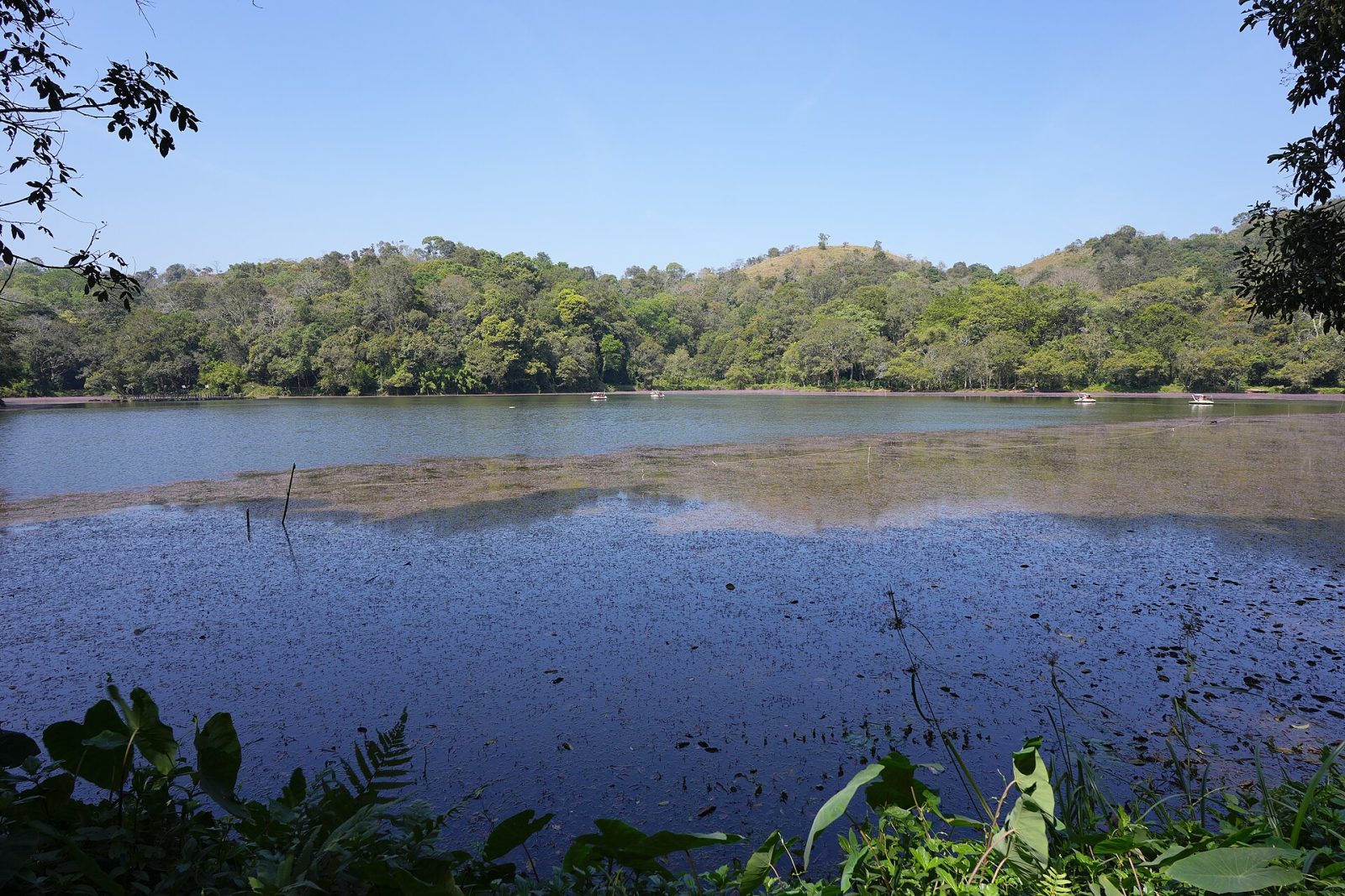 Pookode Lake