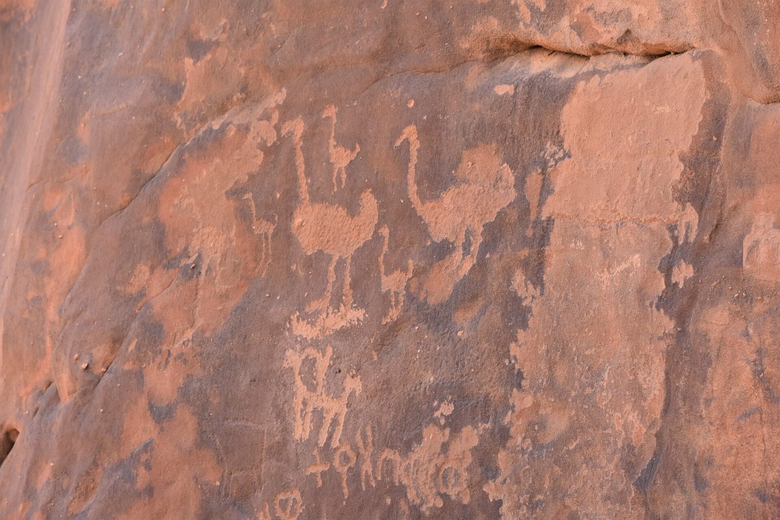 Northern Saudi in 3 Days: Ha'il, Jubbah and Al-Jawf