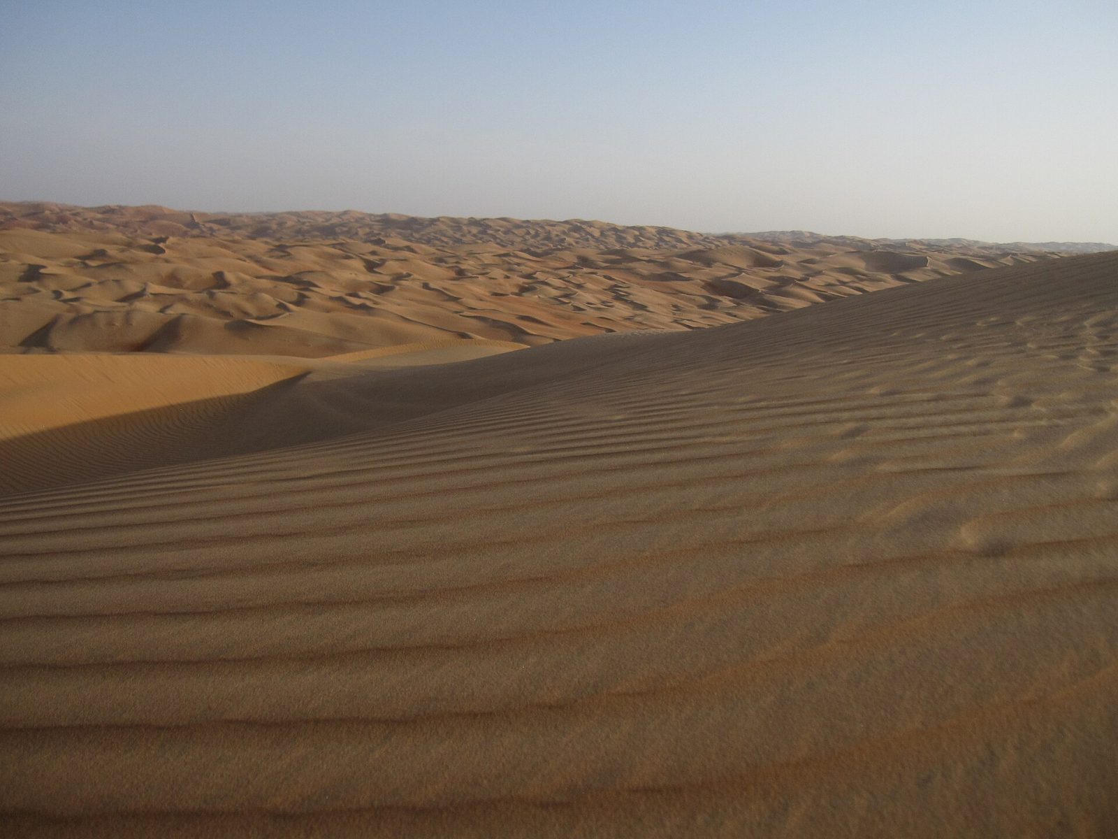 Liwa Oasis & Moreeb Dune