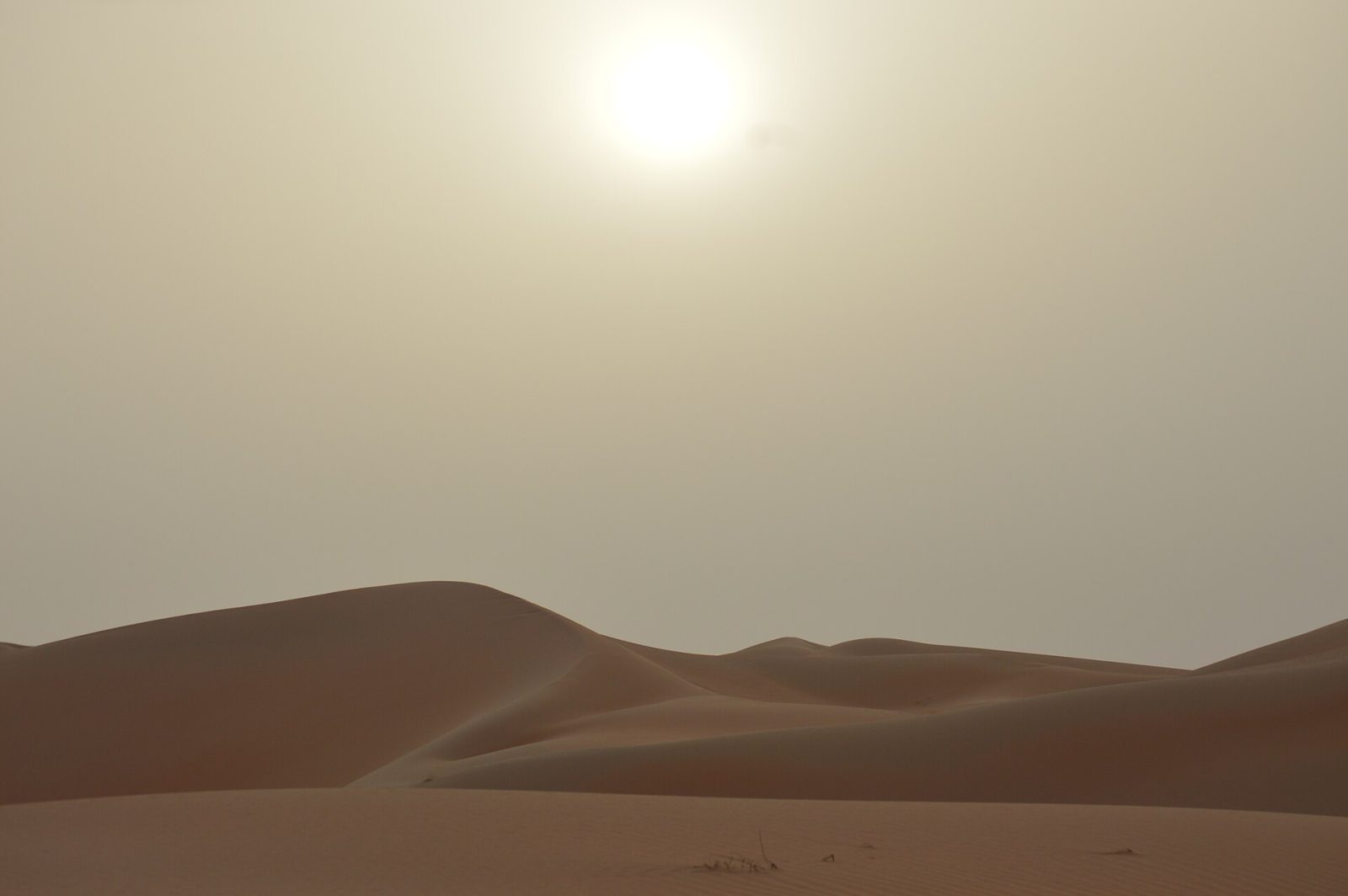 Liwa Oasis & Moreeb Dune