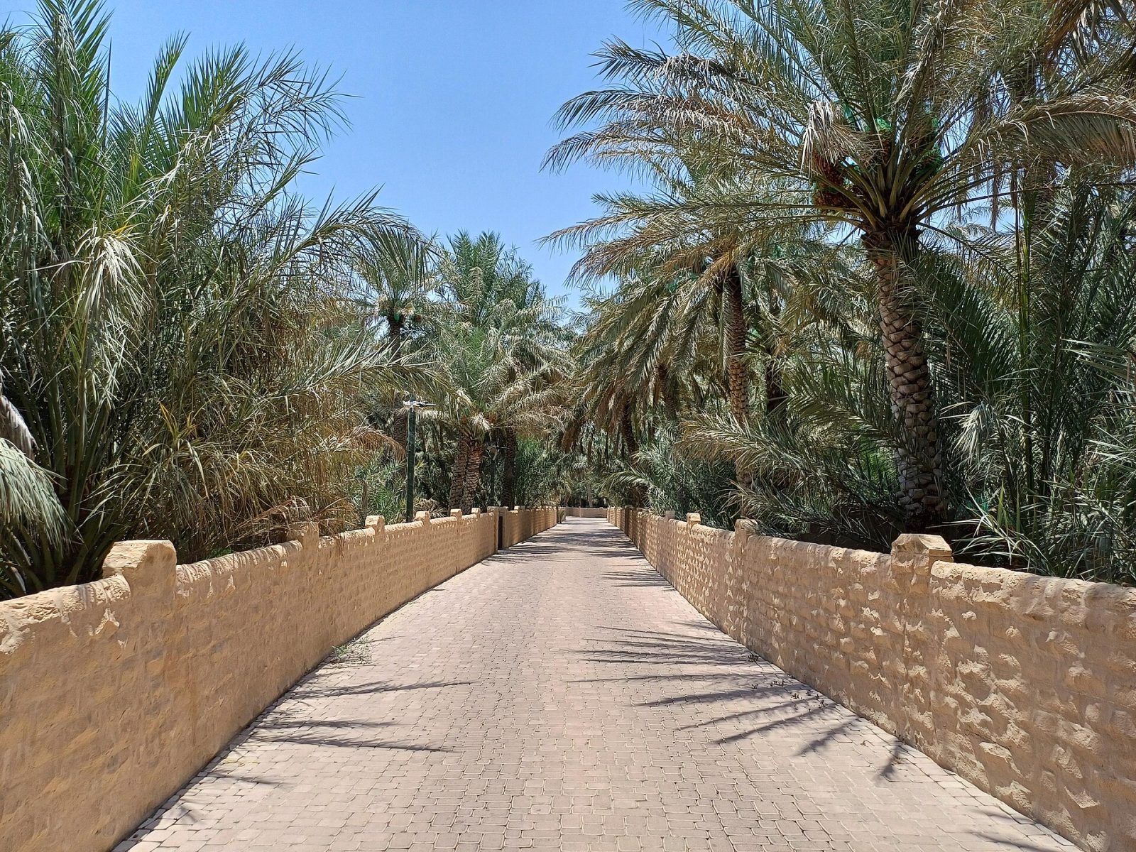 Al Ain Oasis