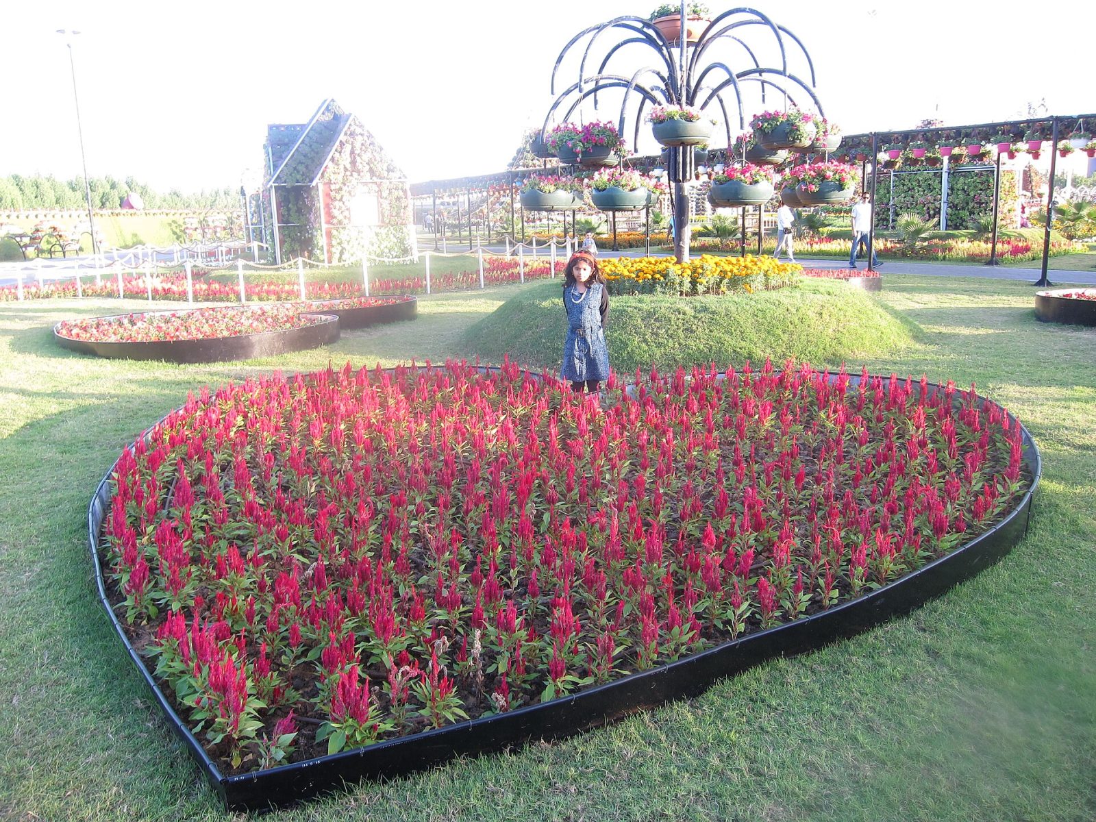 Dubai Miracle Garden