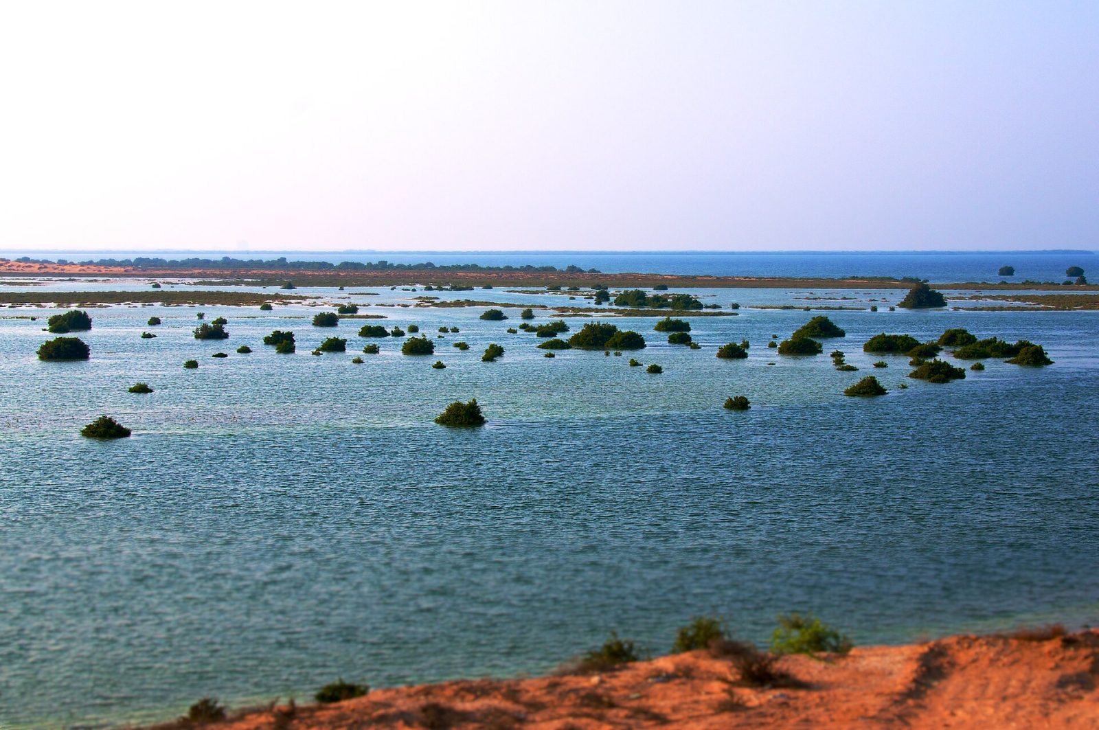 Umm Al Quwain Mangroves