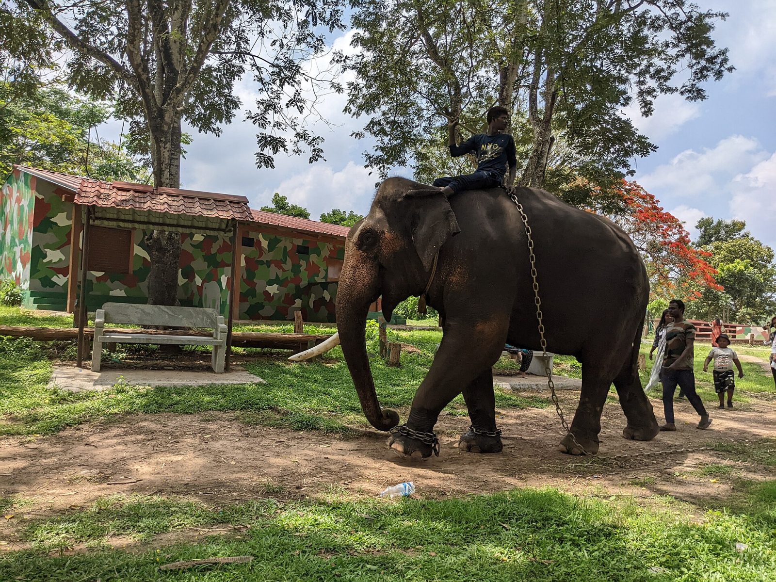 Dubare Elephant Camp