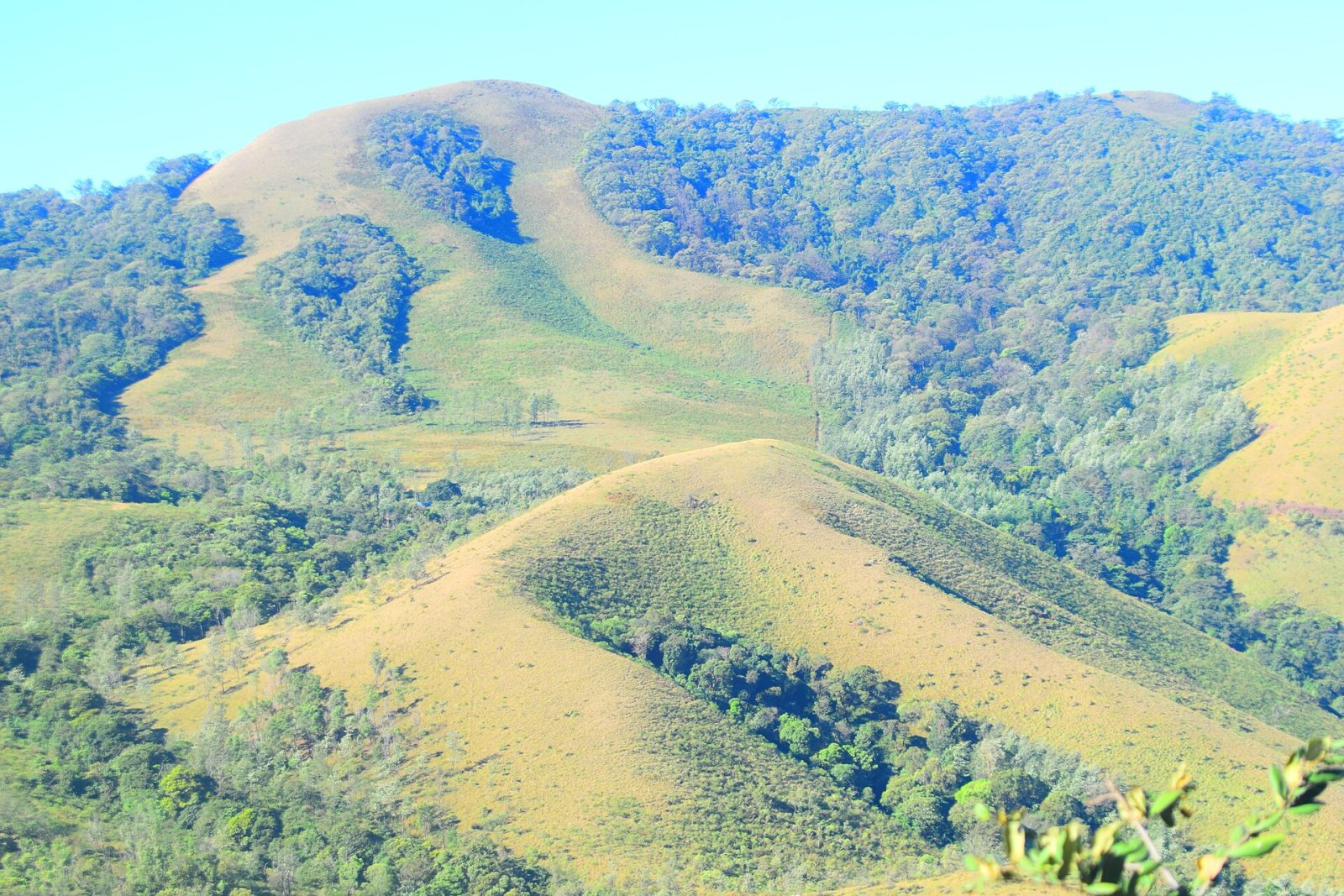 Mullayanagiri