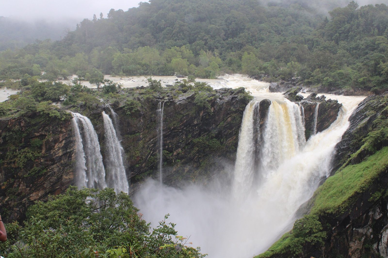 Jog Falls & Malnad: Agumbe, Jog and Kodachadri in 3 Days