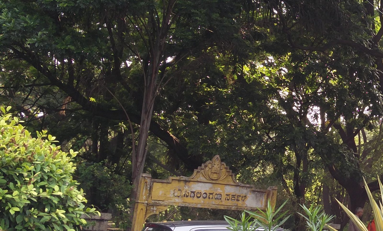 Cubbon Park