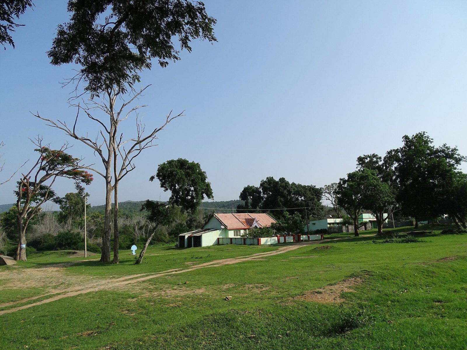 Bandipur National Park