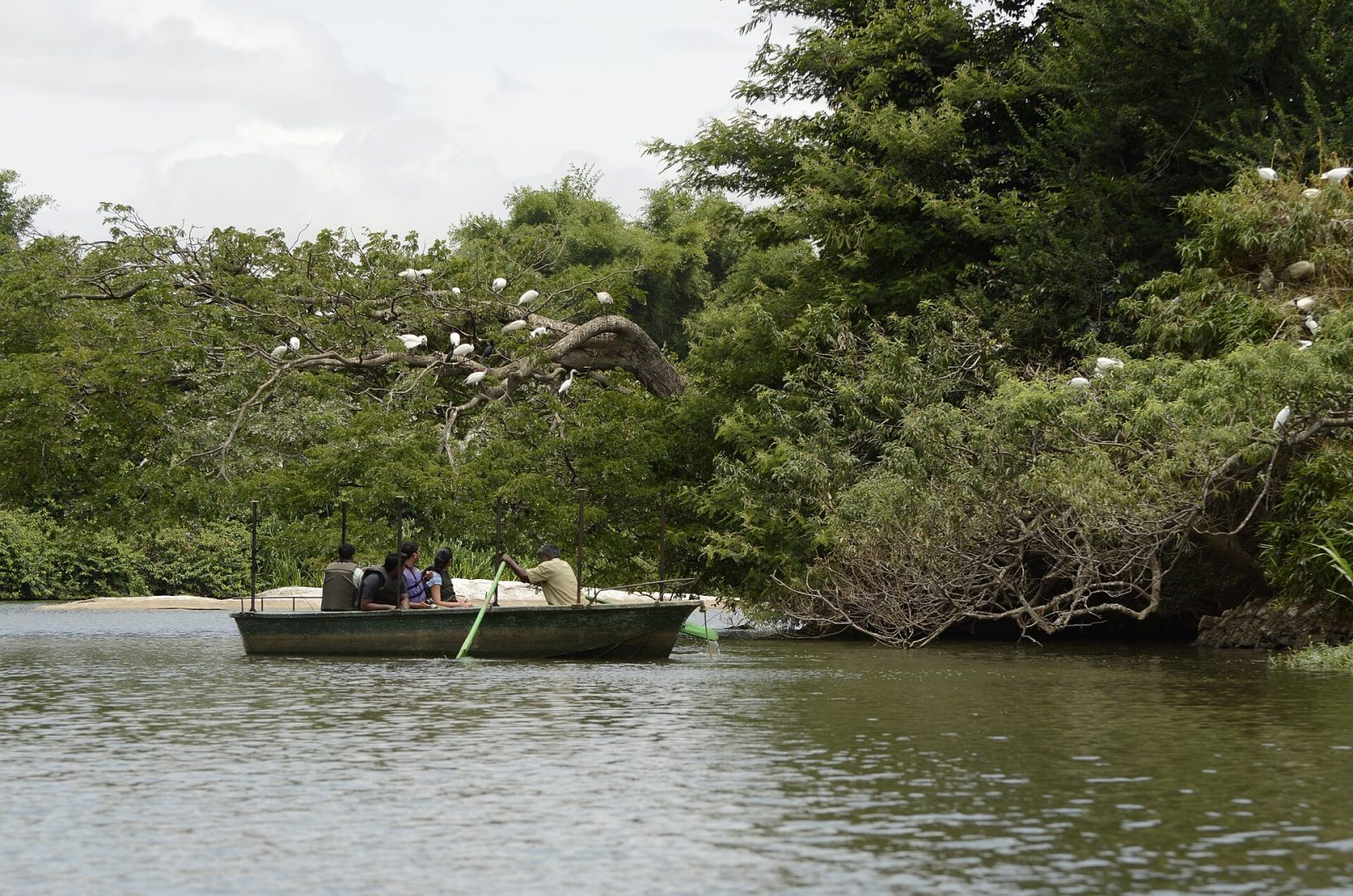 Ranganathittu Bird Sanctuary