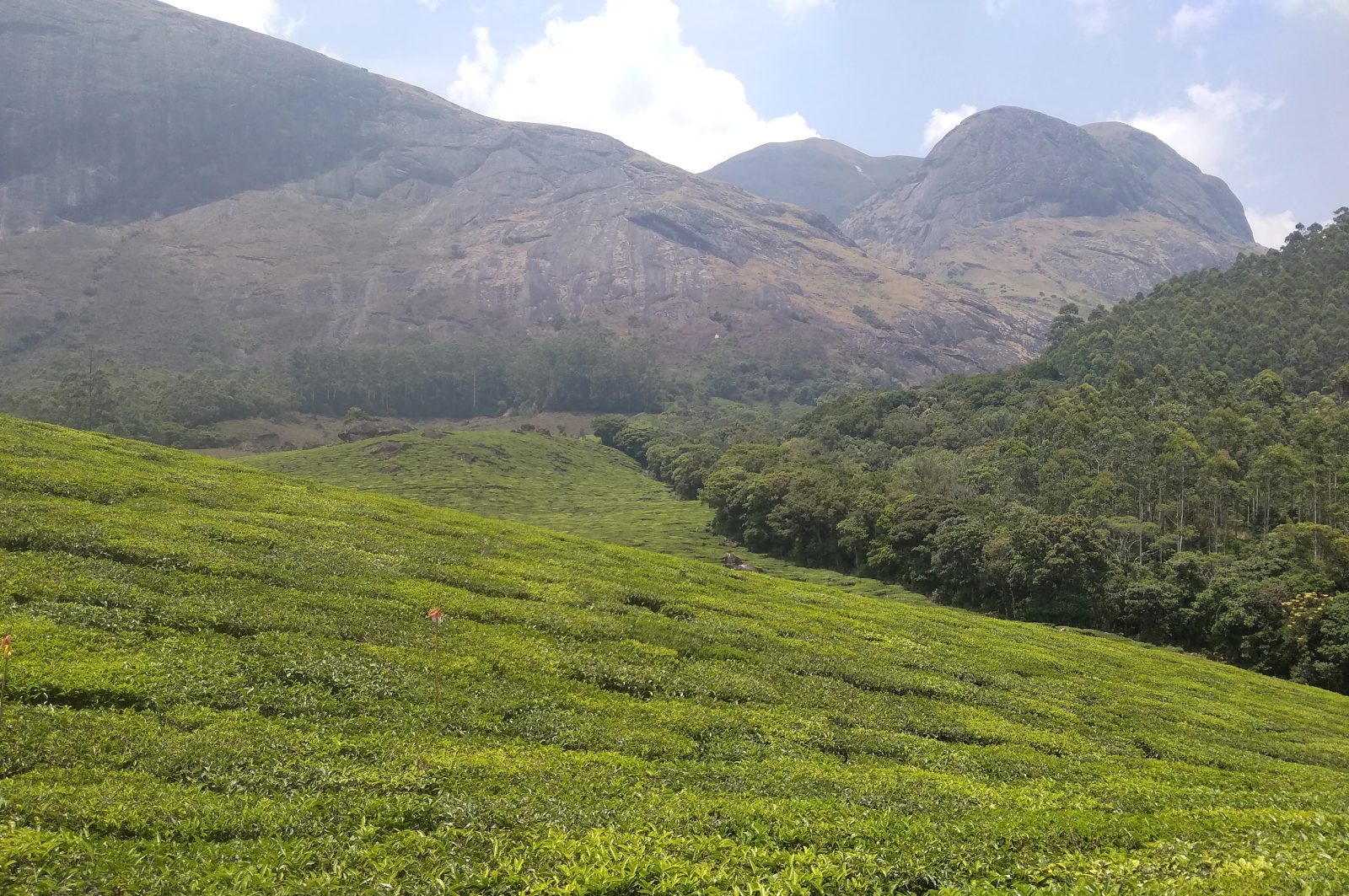 Kannan Devan Tea Plantations