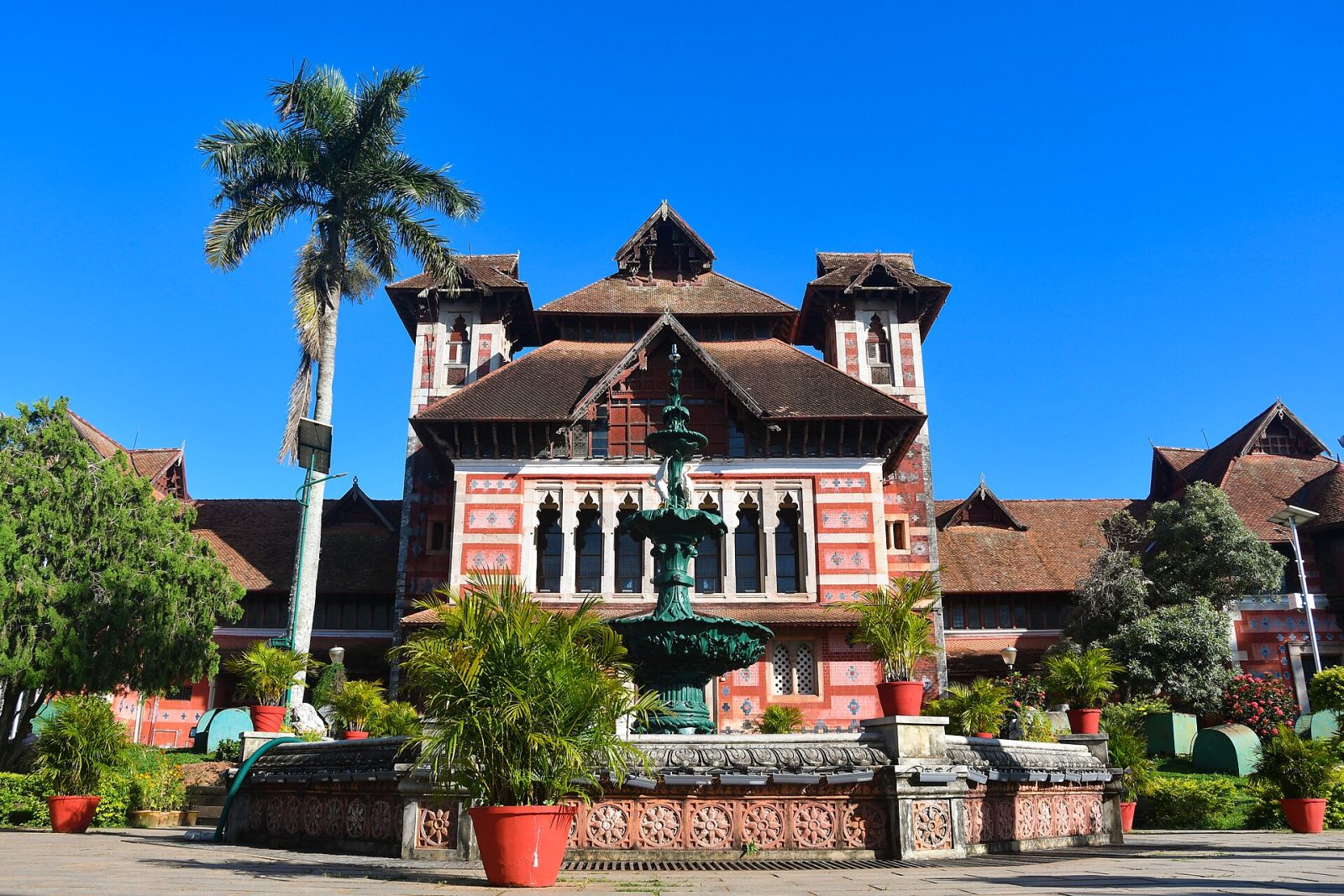 Napier Museum