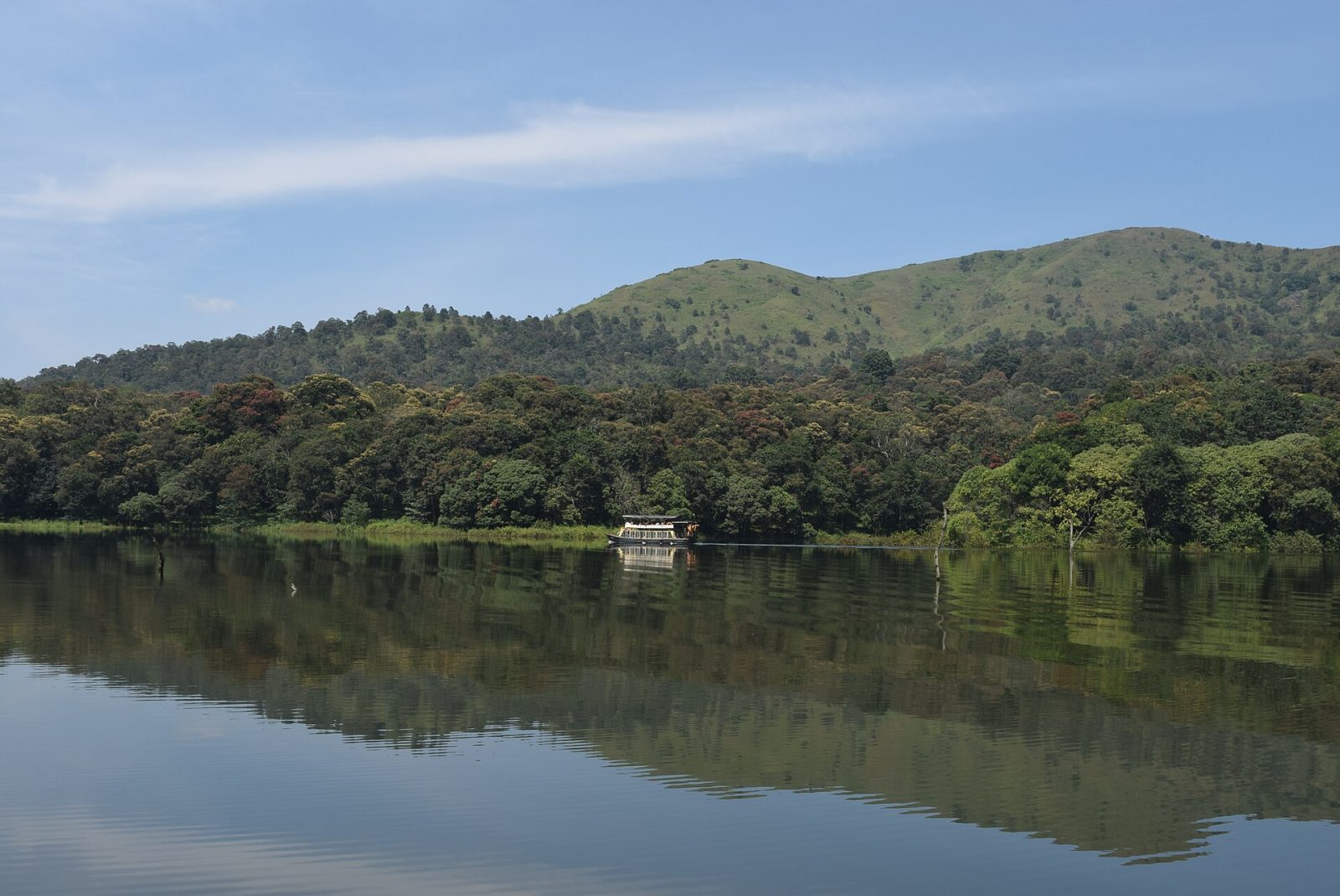 Thekkady (Periyar Tiger Reserve)