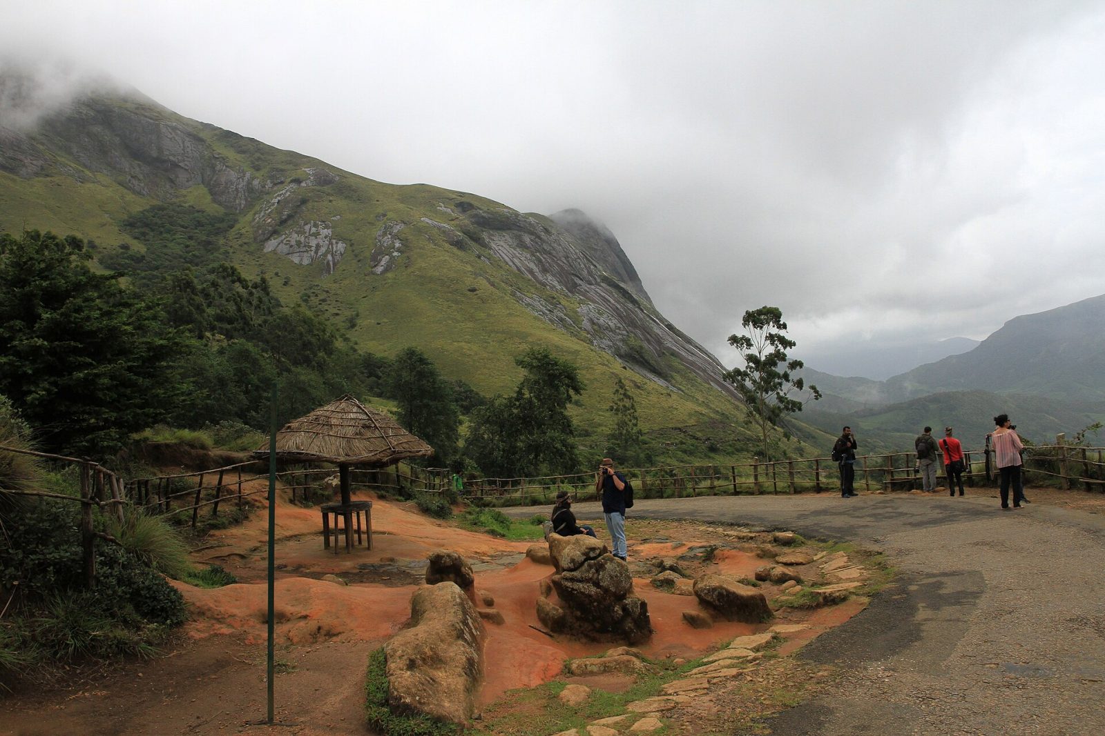 Eravikulam National Park