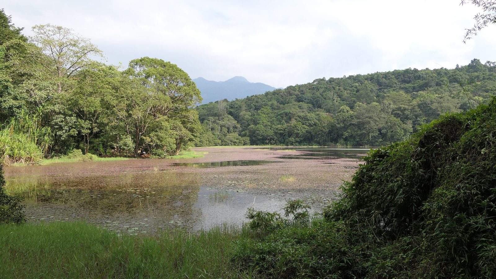 Pookode Lake