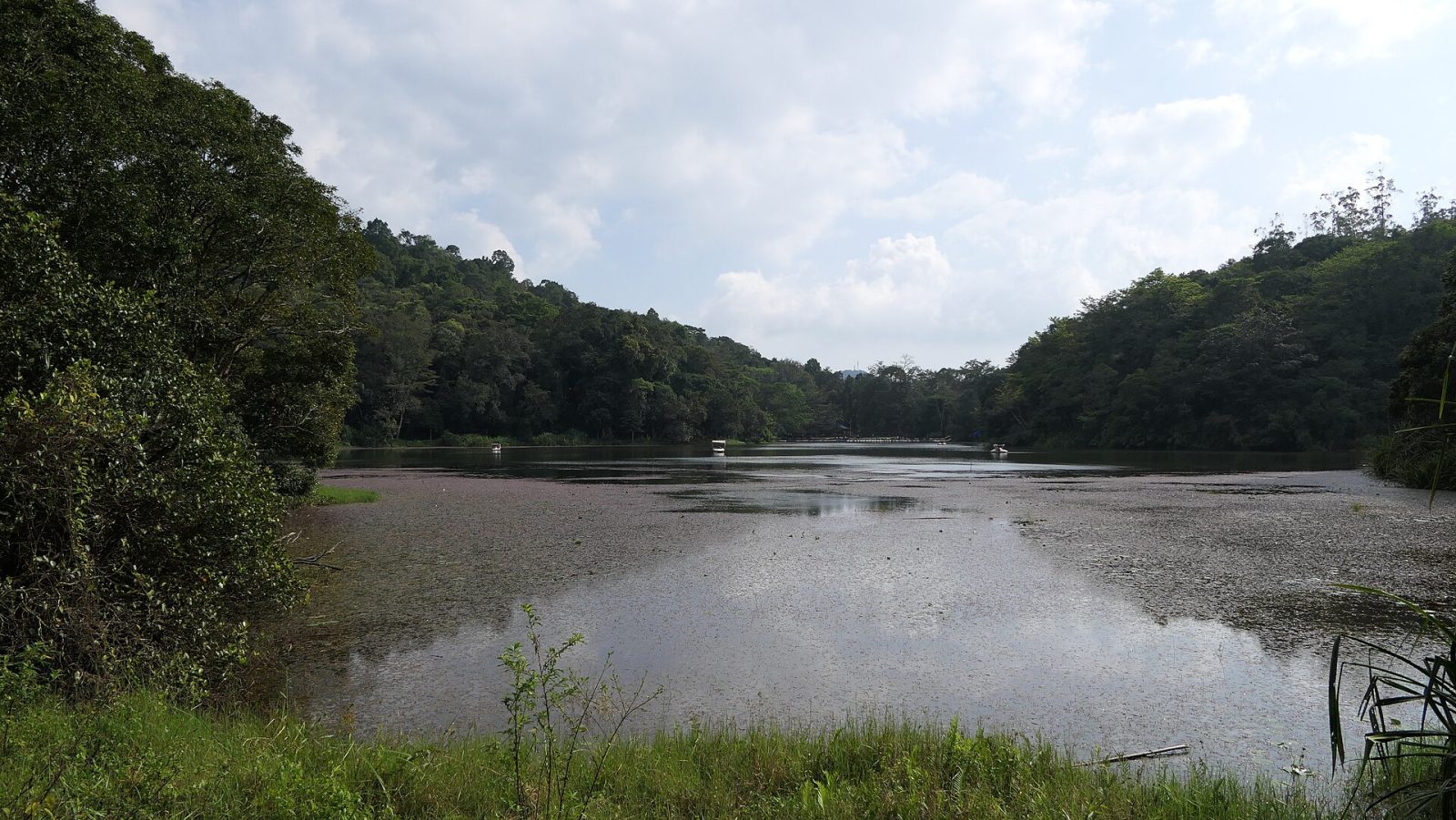 Pookode Lake