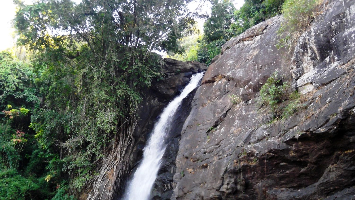 Soochipara Falls