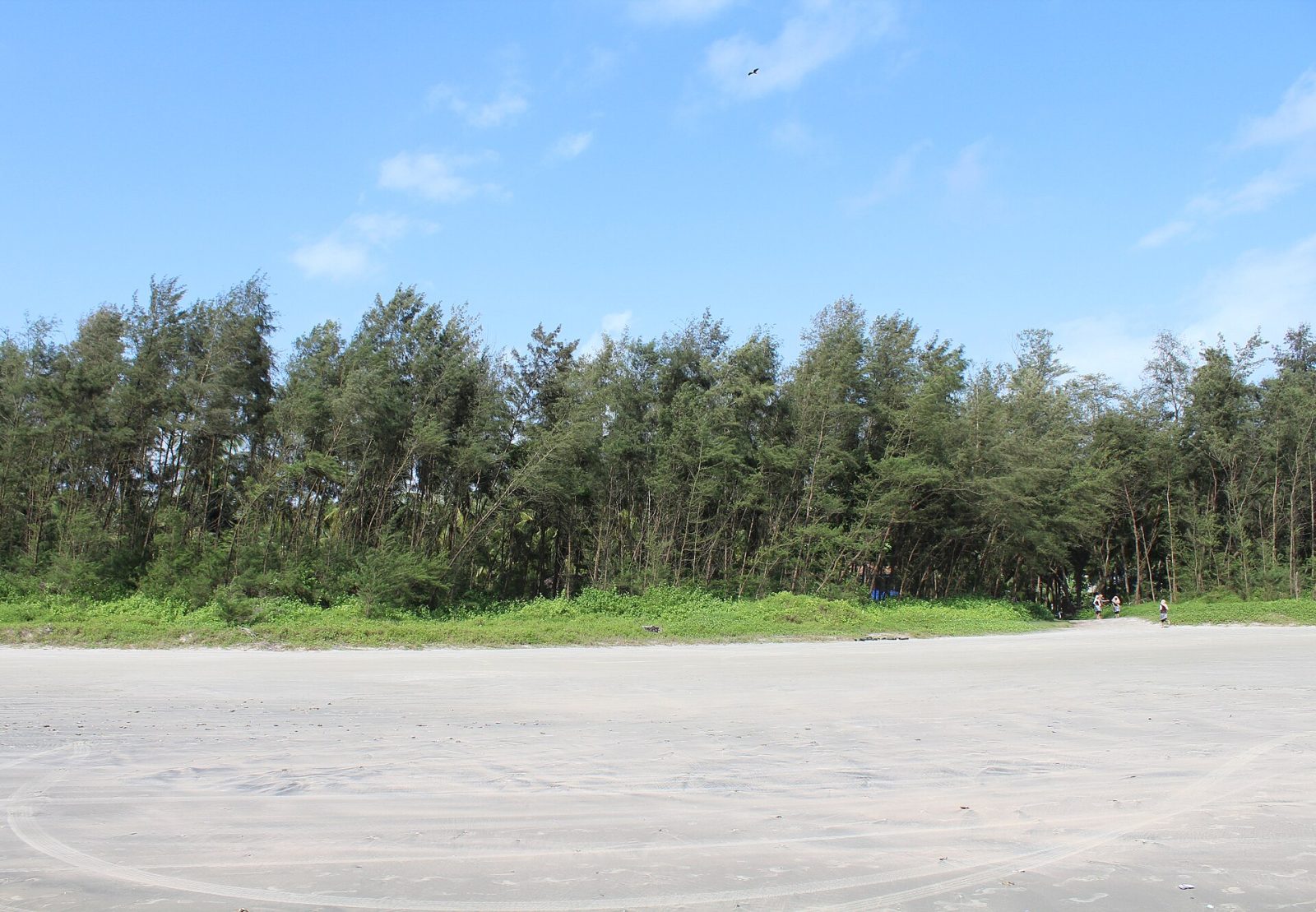 Muzhappilangad Drive-in Beach