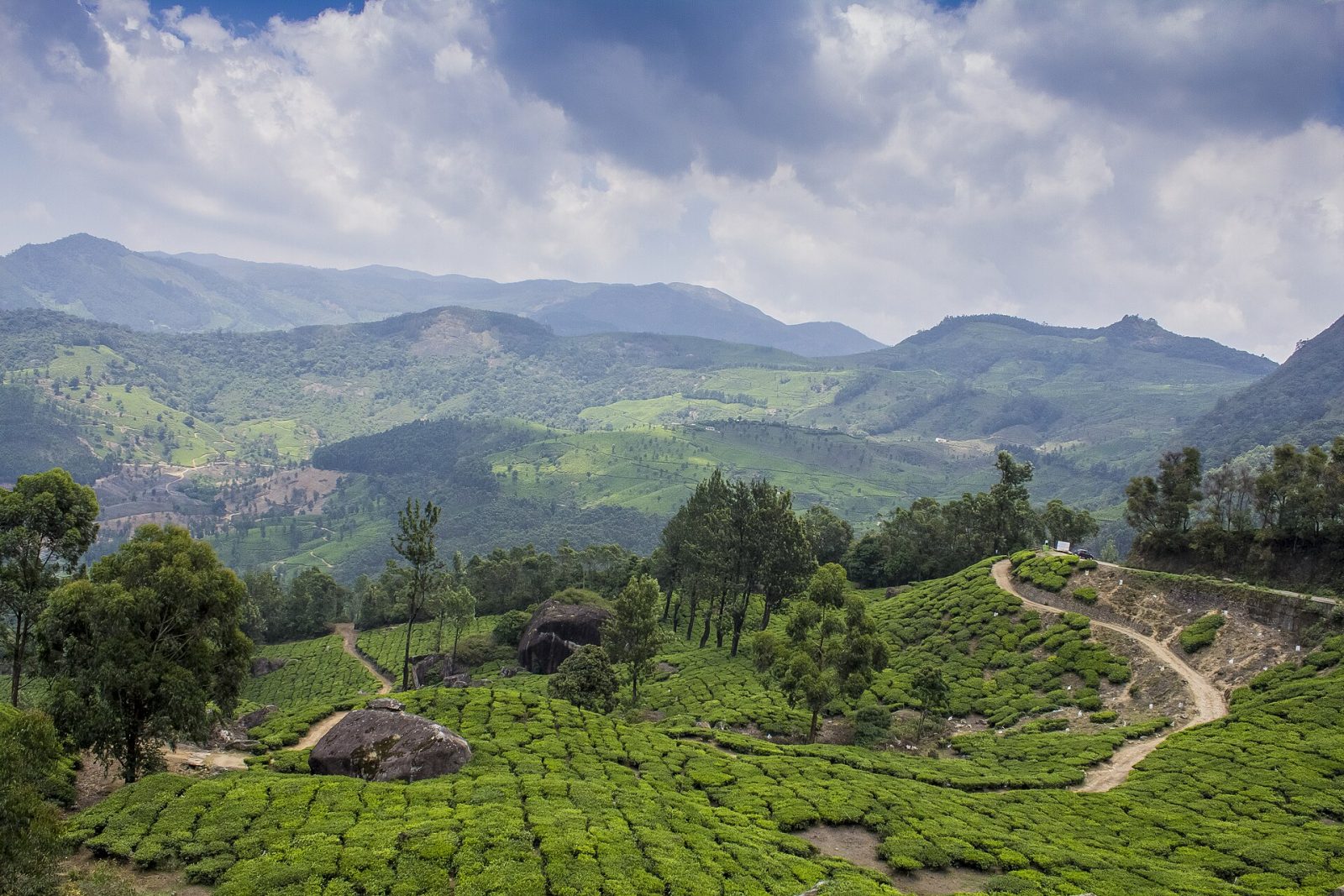 Kannan Devan Tea Plantations