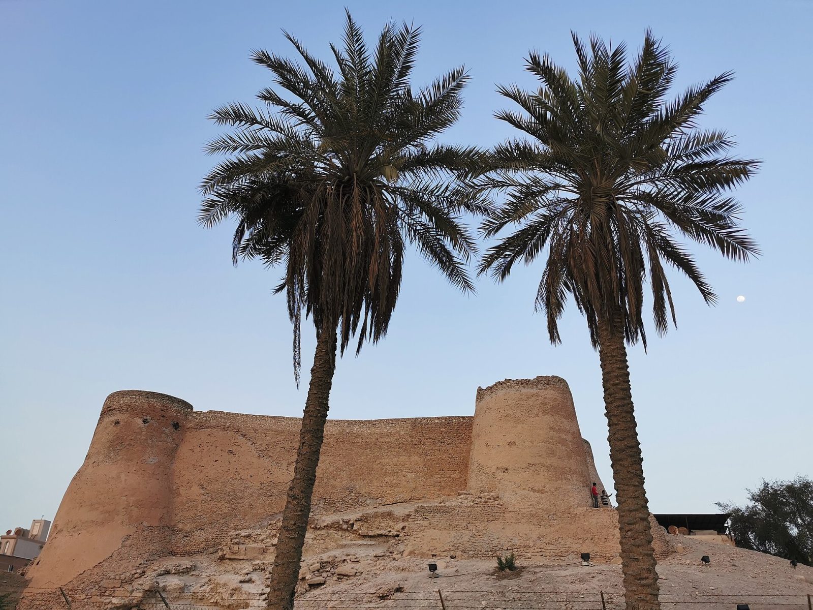 Tarout Castle