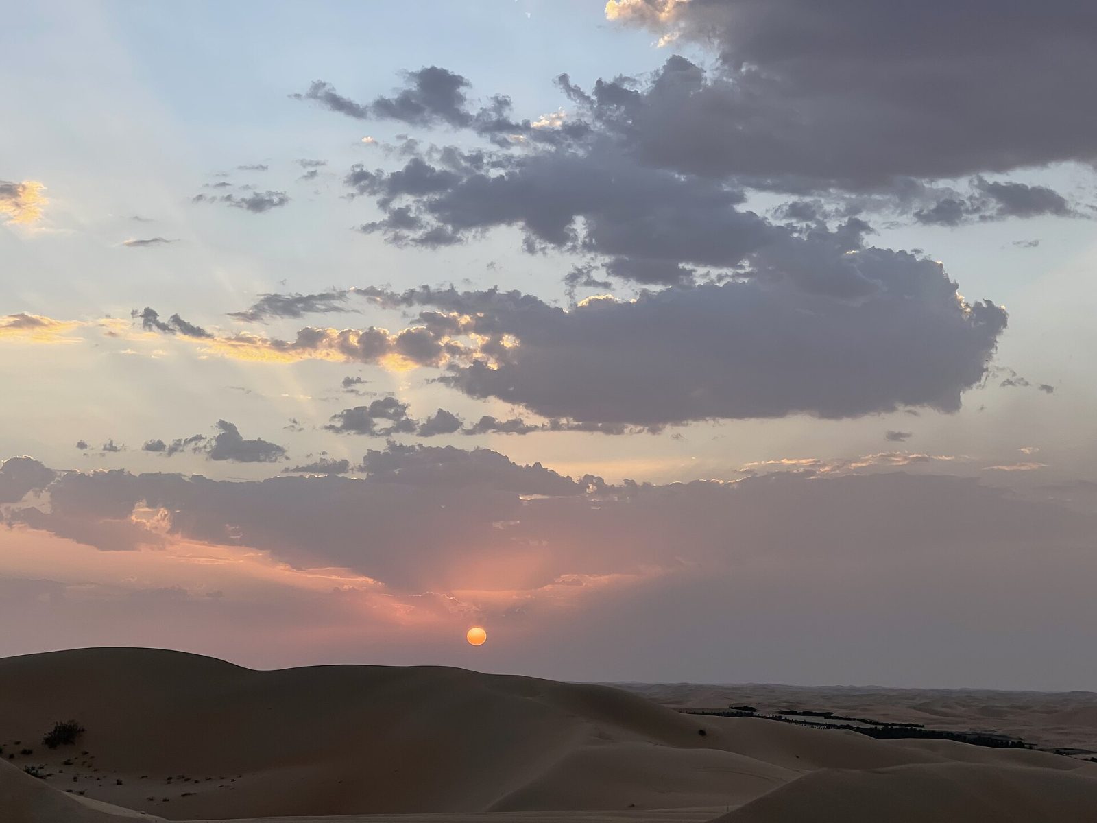 Liwa Oasis & Moreeb Dune