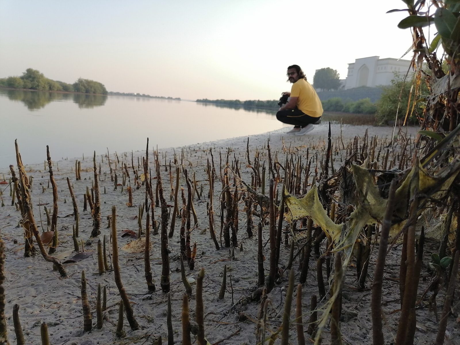 Umm Al Quwain Mangroves