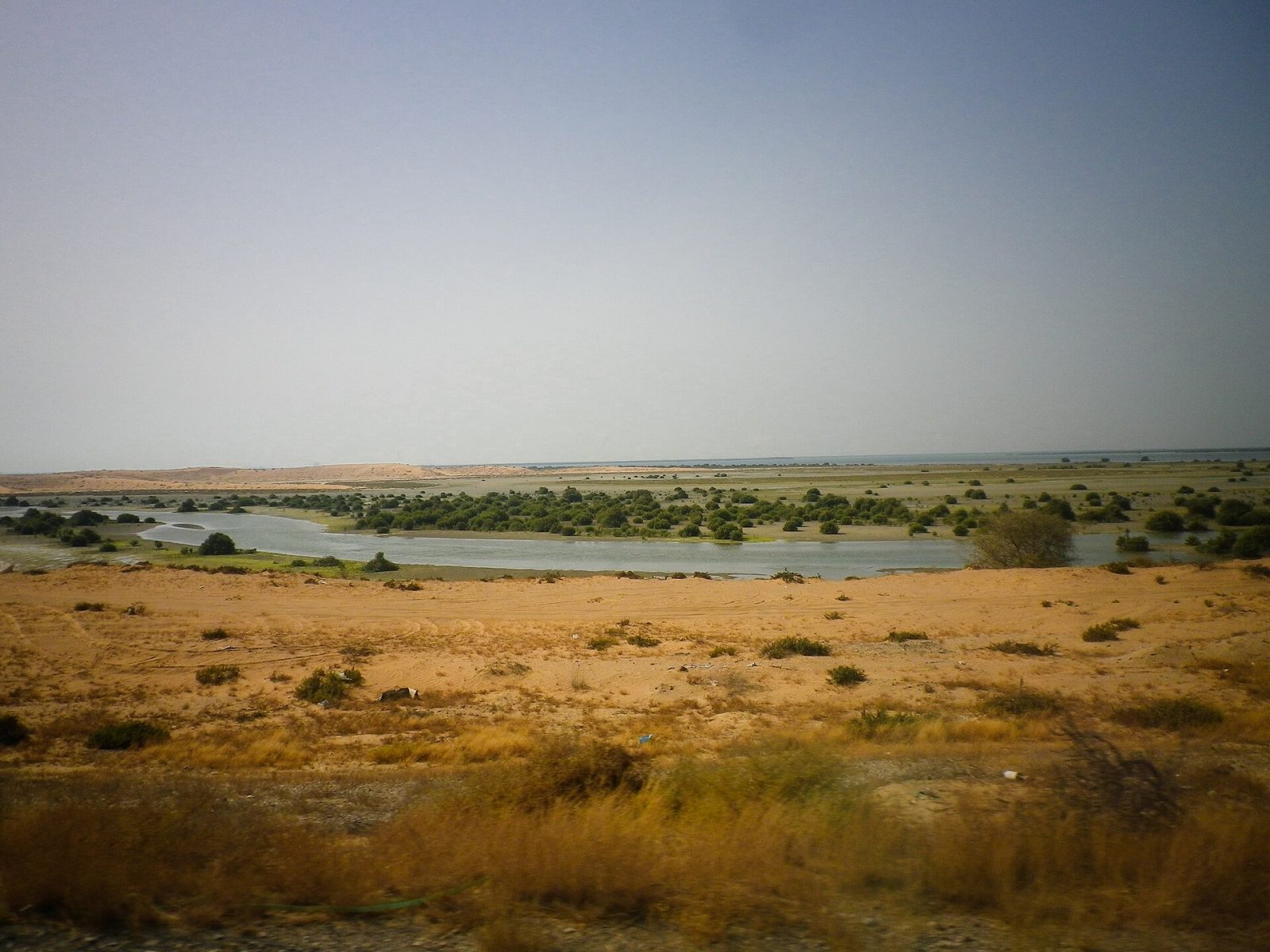 Umm Al Quwain Mangroves