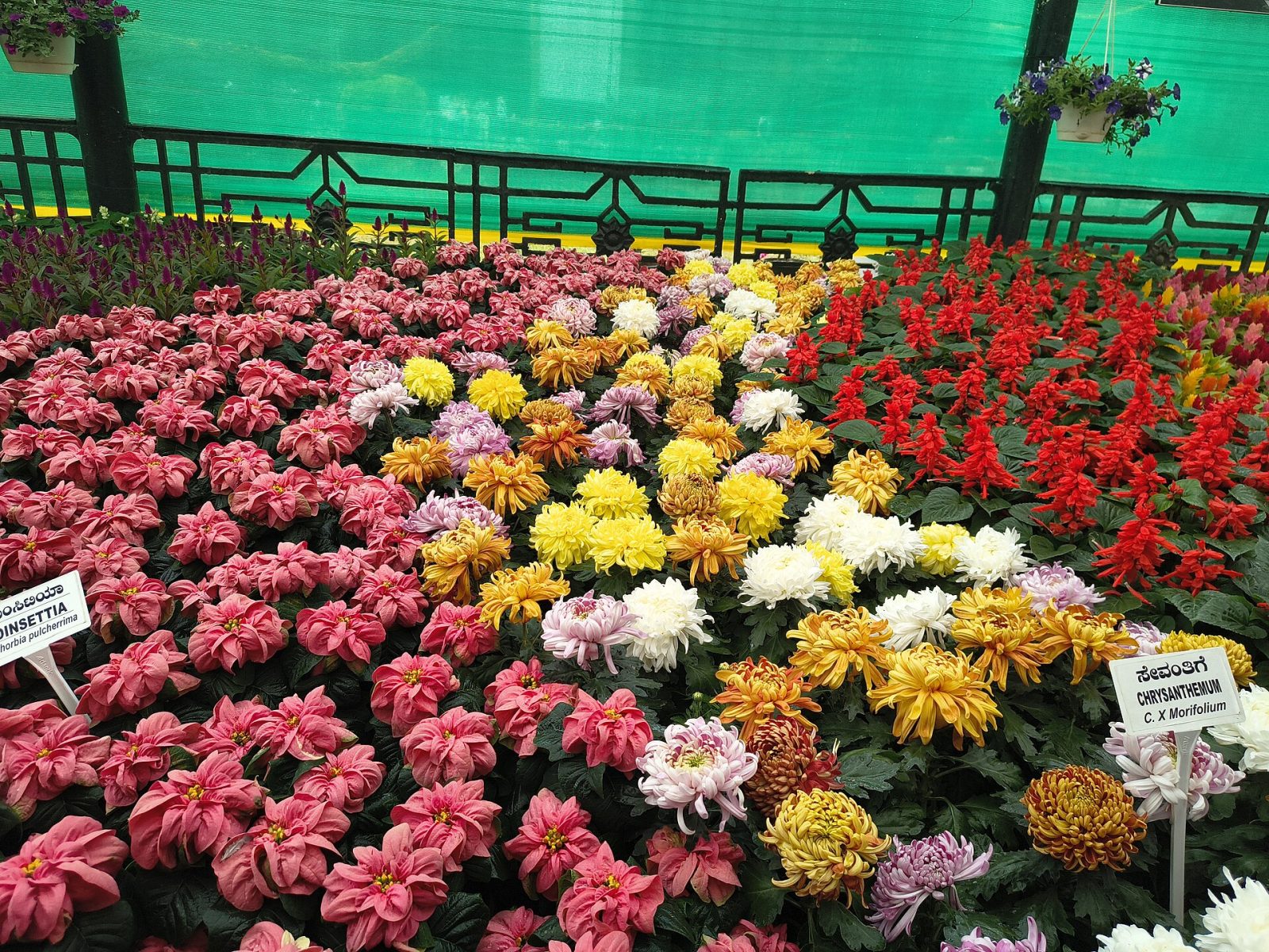 Lalbagh Botanical Garden