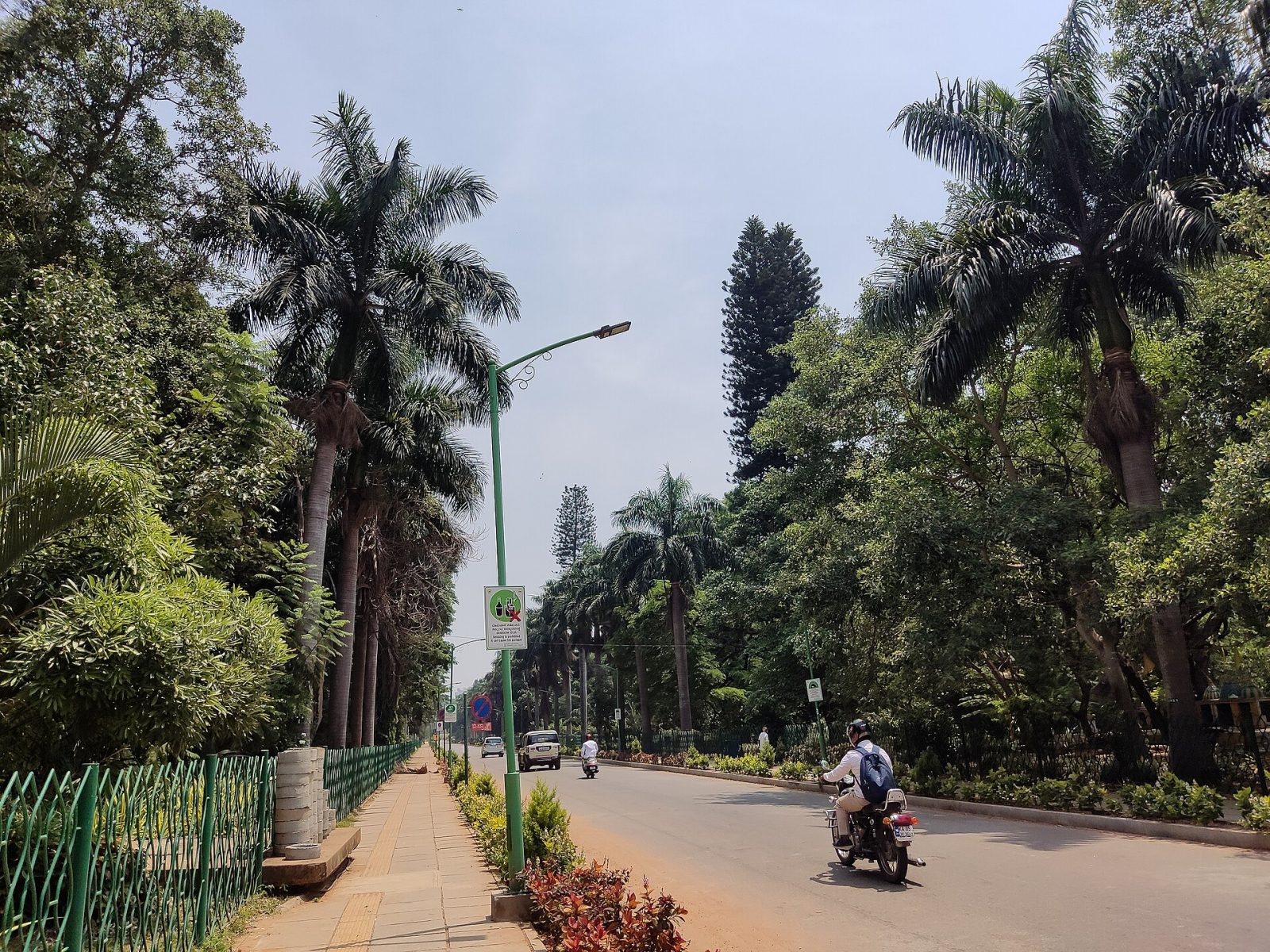 Cubbon Park