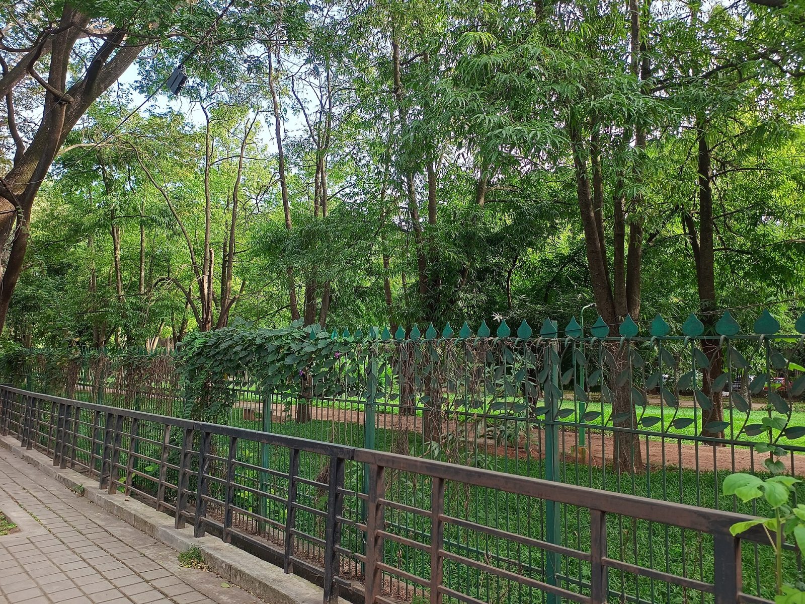 Cubbon Park