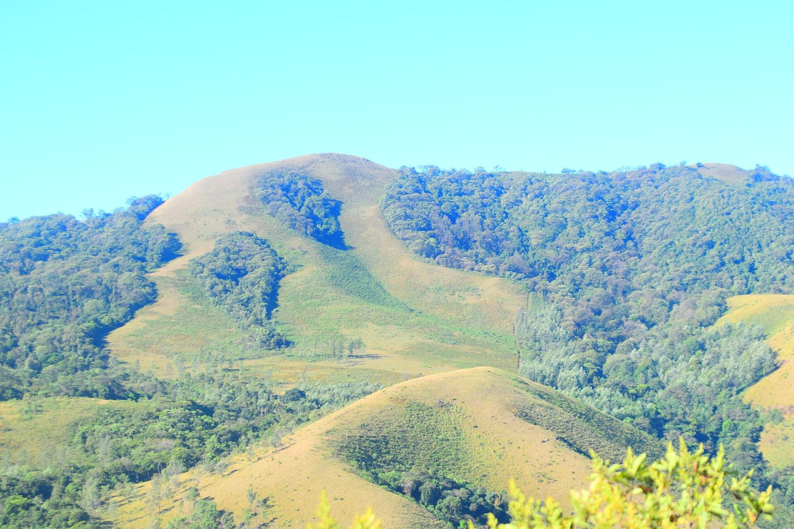 Mullayanagiri