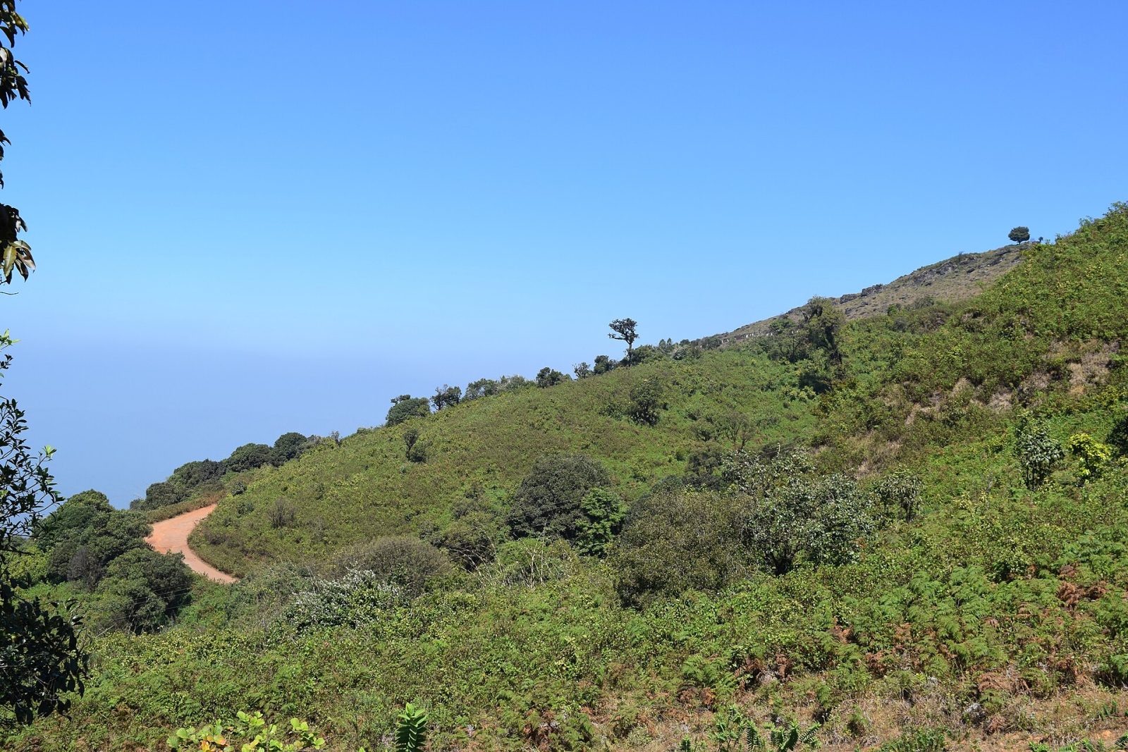 Mullayanagiri