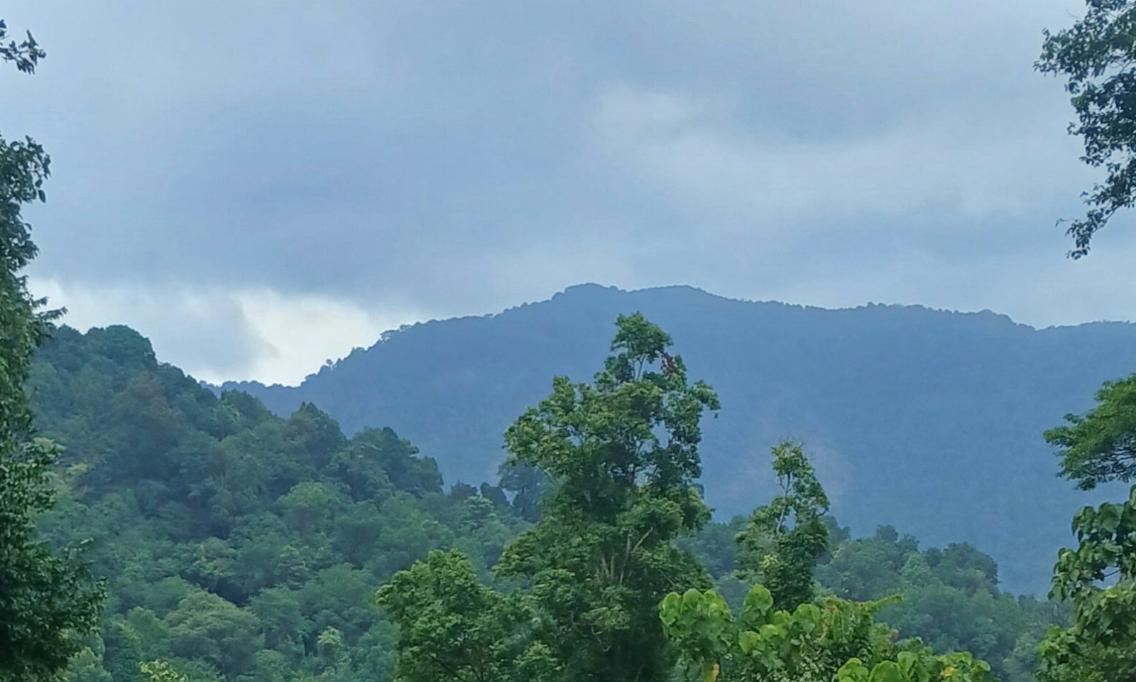 Agumbe
