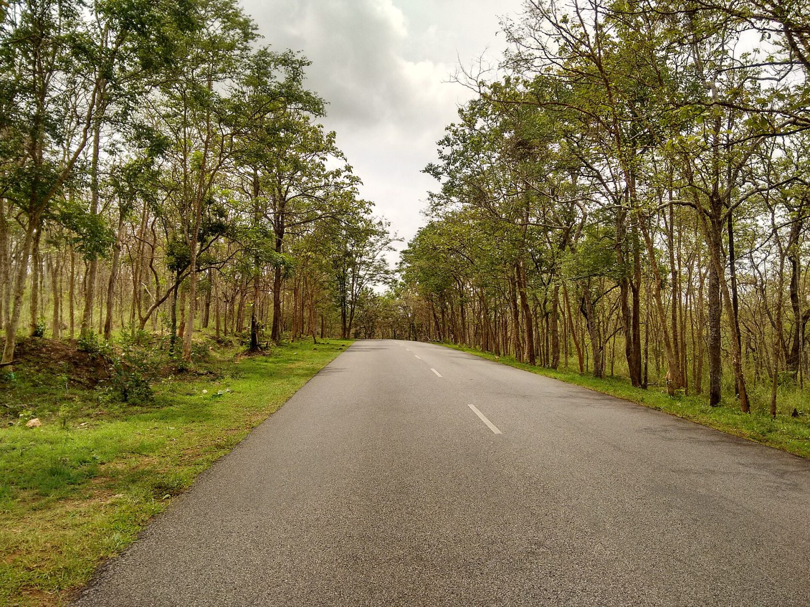 Bandipur National Park