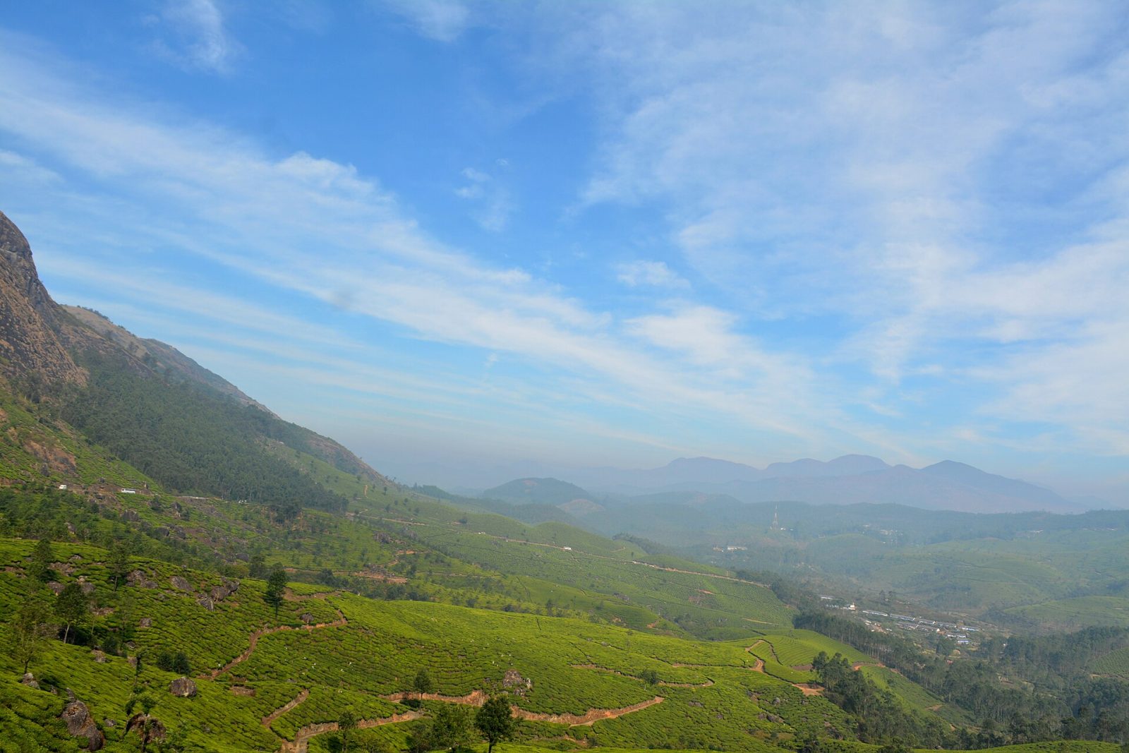 Kannan Devan Tea Plantations
