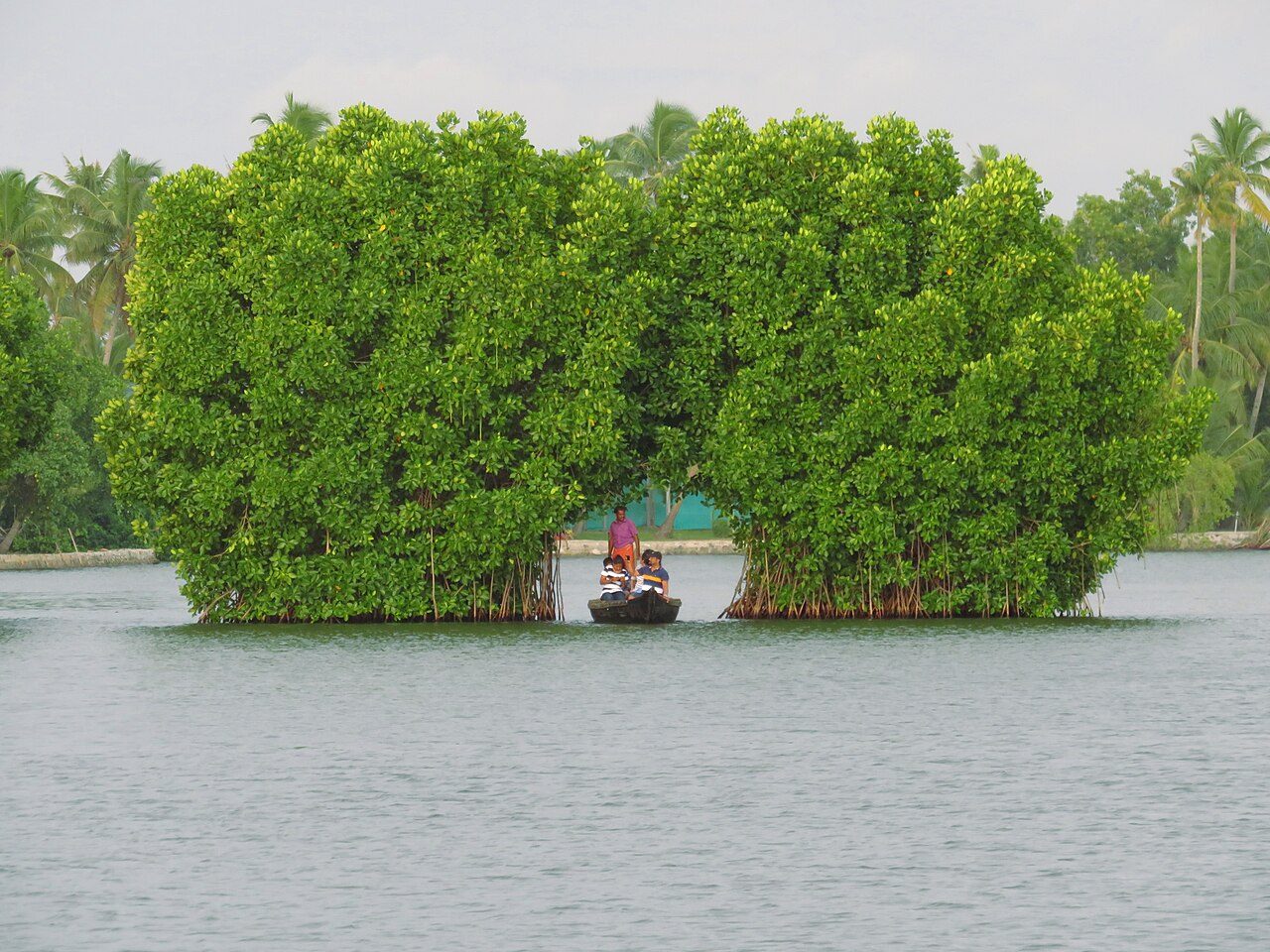 Munroe Island
