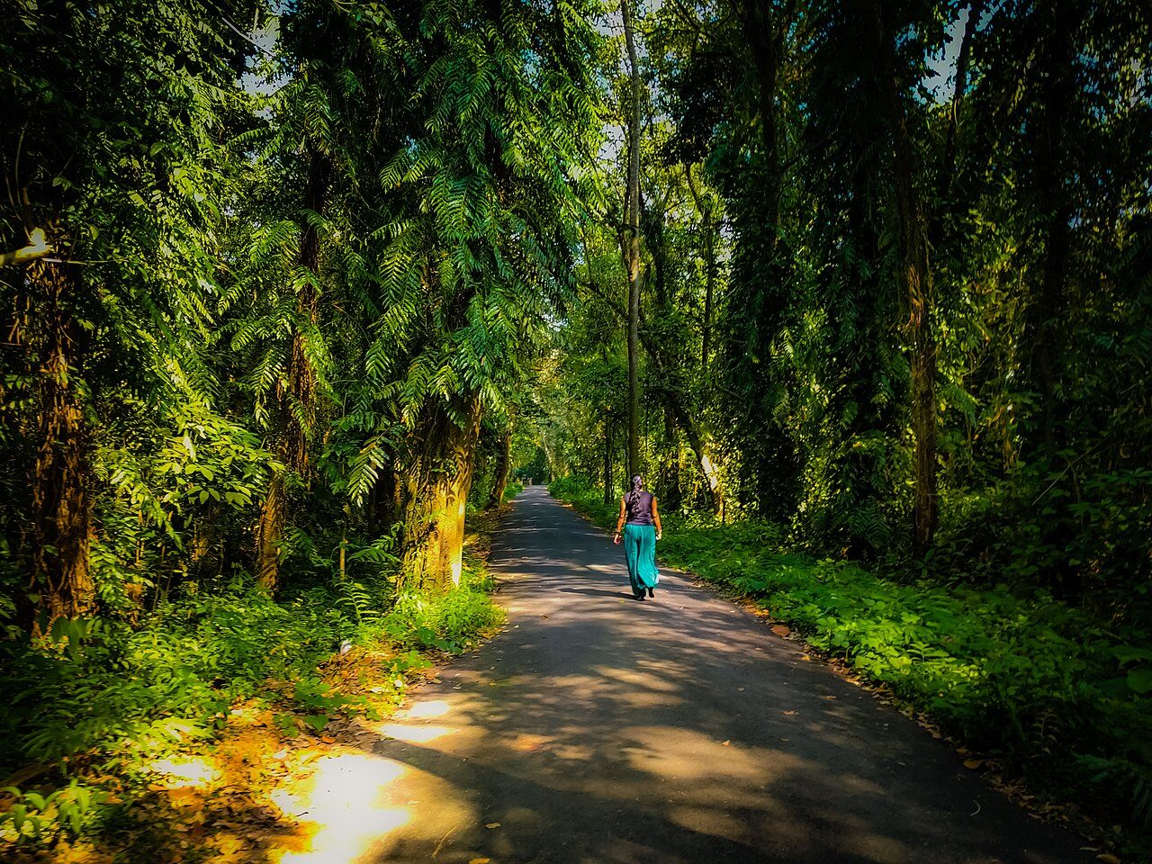 Kumarakom Bird Sanctuary