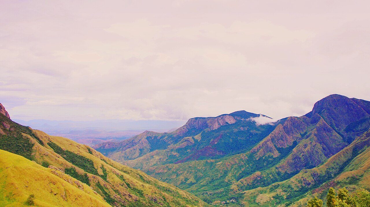 Munnar & Vagamon Hills: Three Cool Days in Kerala's Tea Country