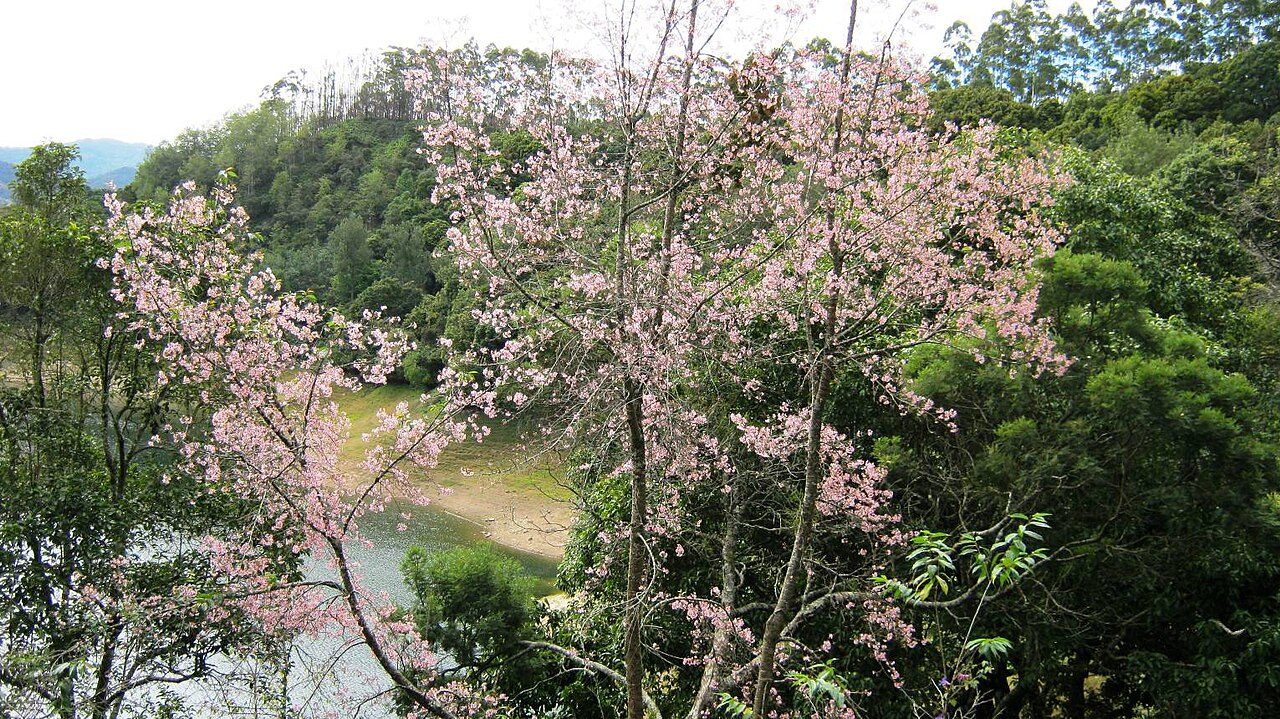 Kundala Lake