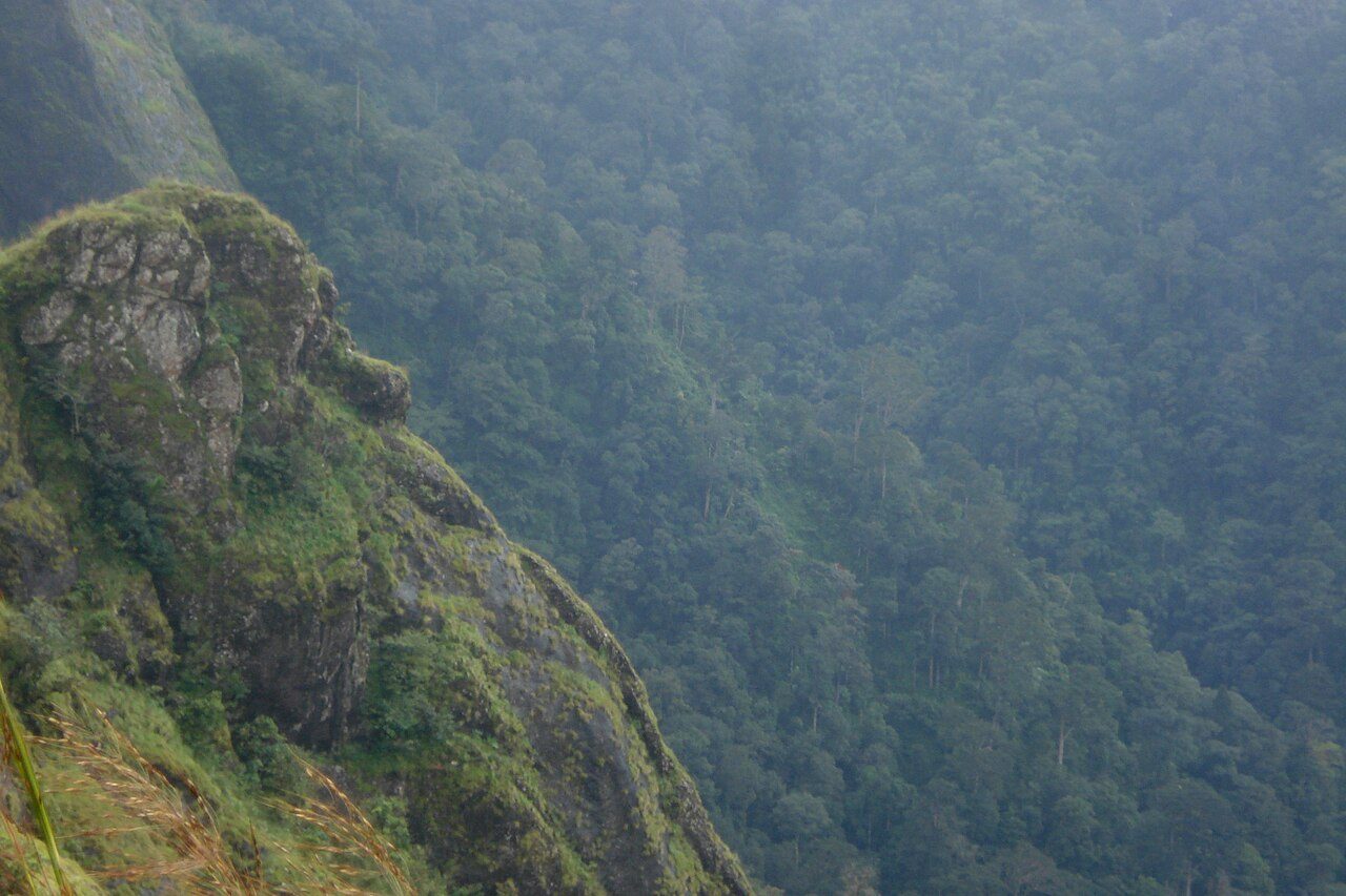 Parunthumpara