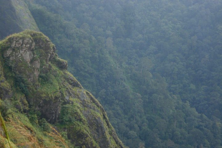 Parunthumpara