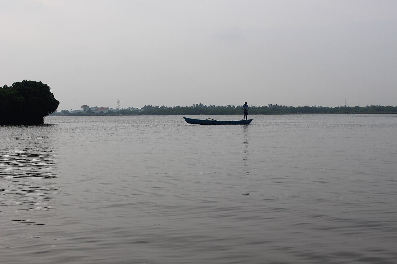 Pichavaram Mangrove Forest