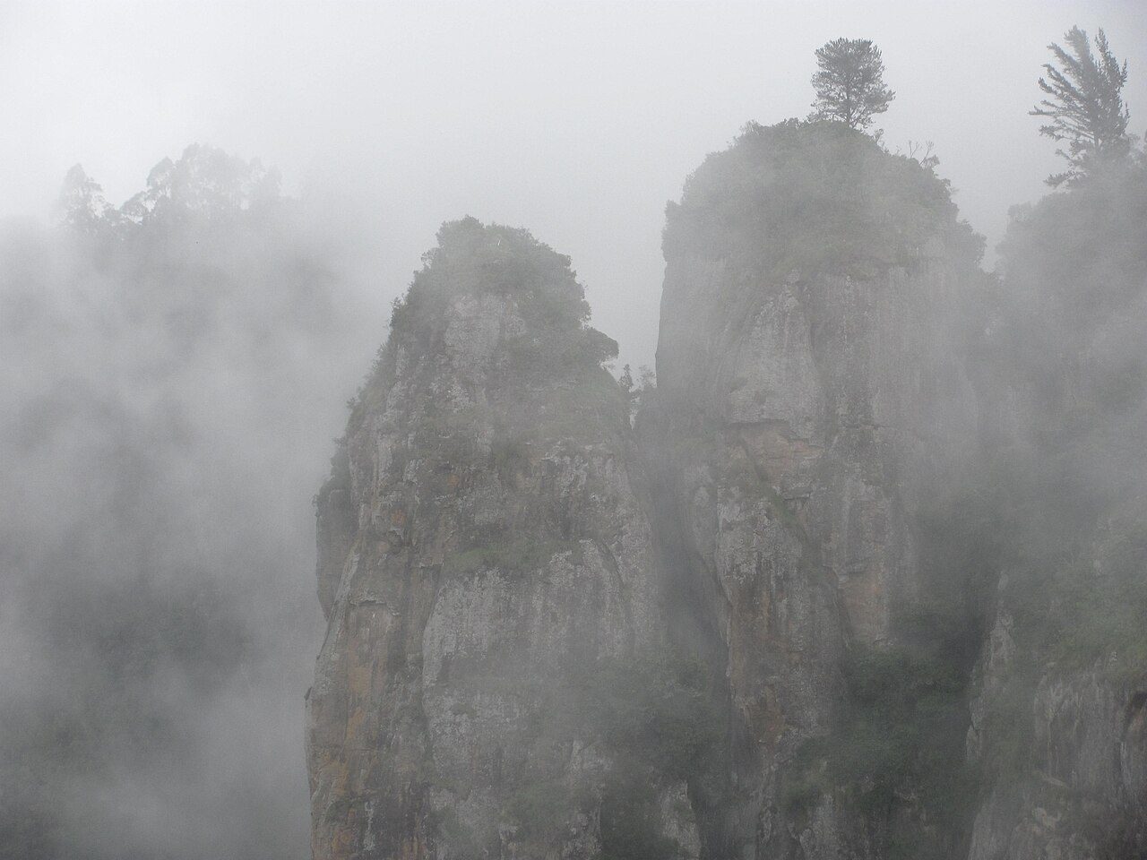 Pillar Rocks Kodaikanal