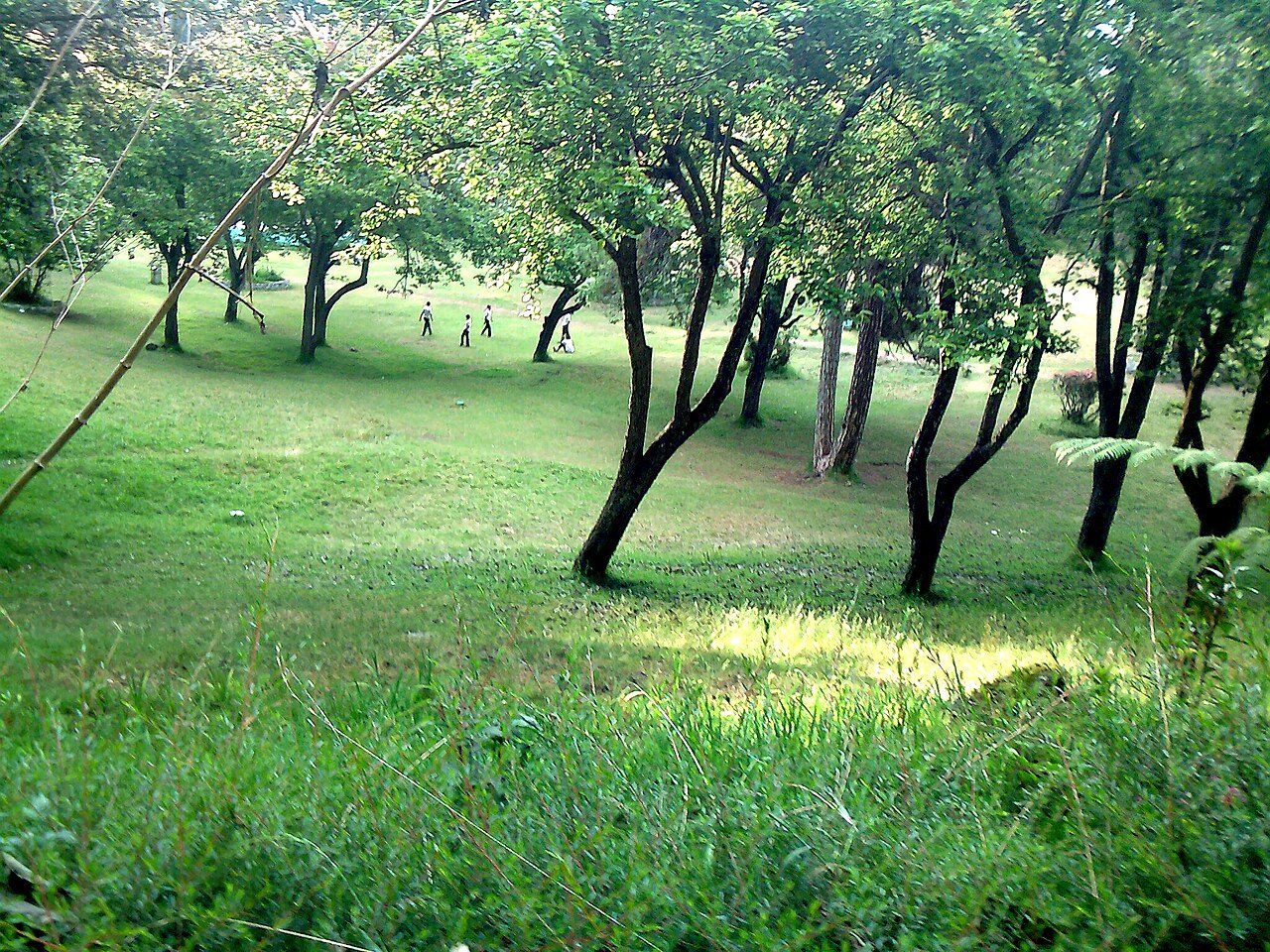 Bryant Park Kodaikanal