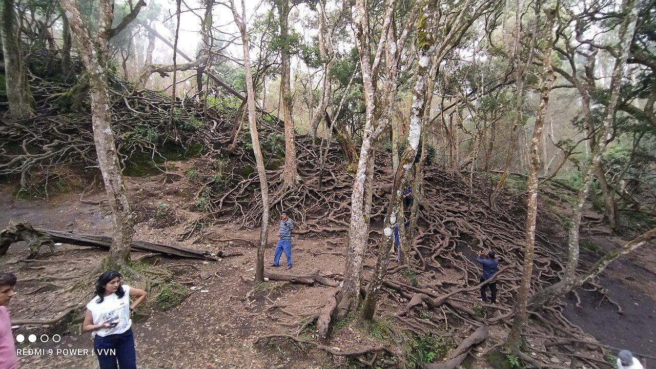 Guna Caves